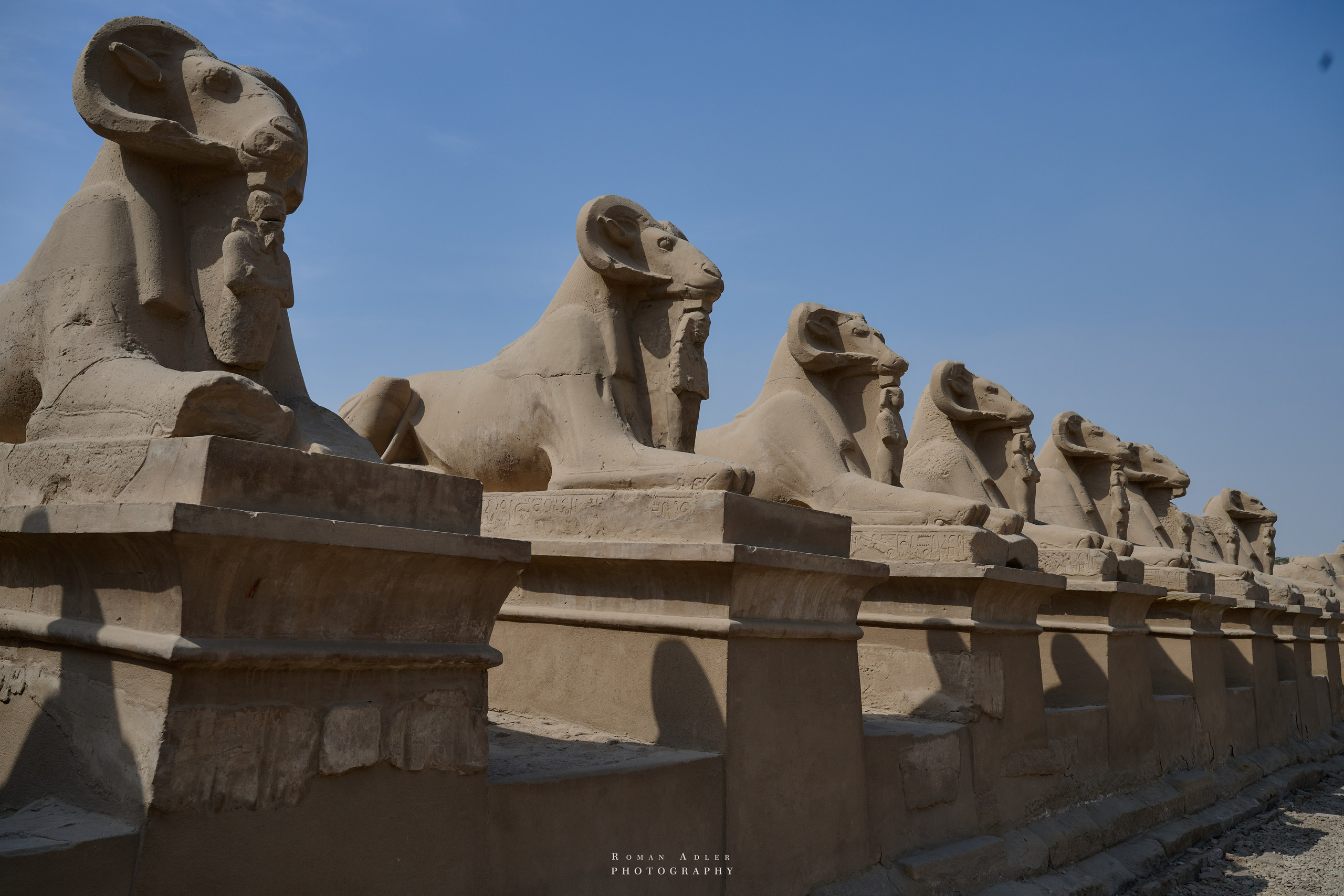 Луксор. Февраль 2025. Фотограф Роман Адлер