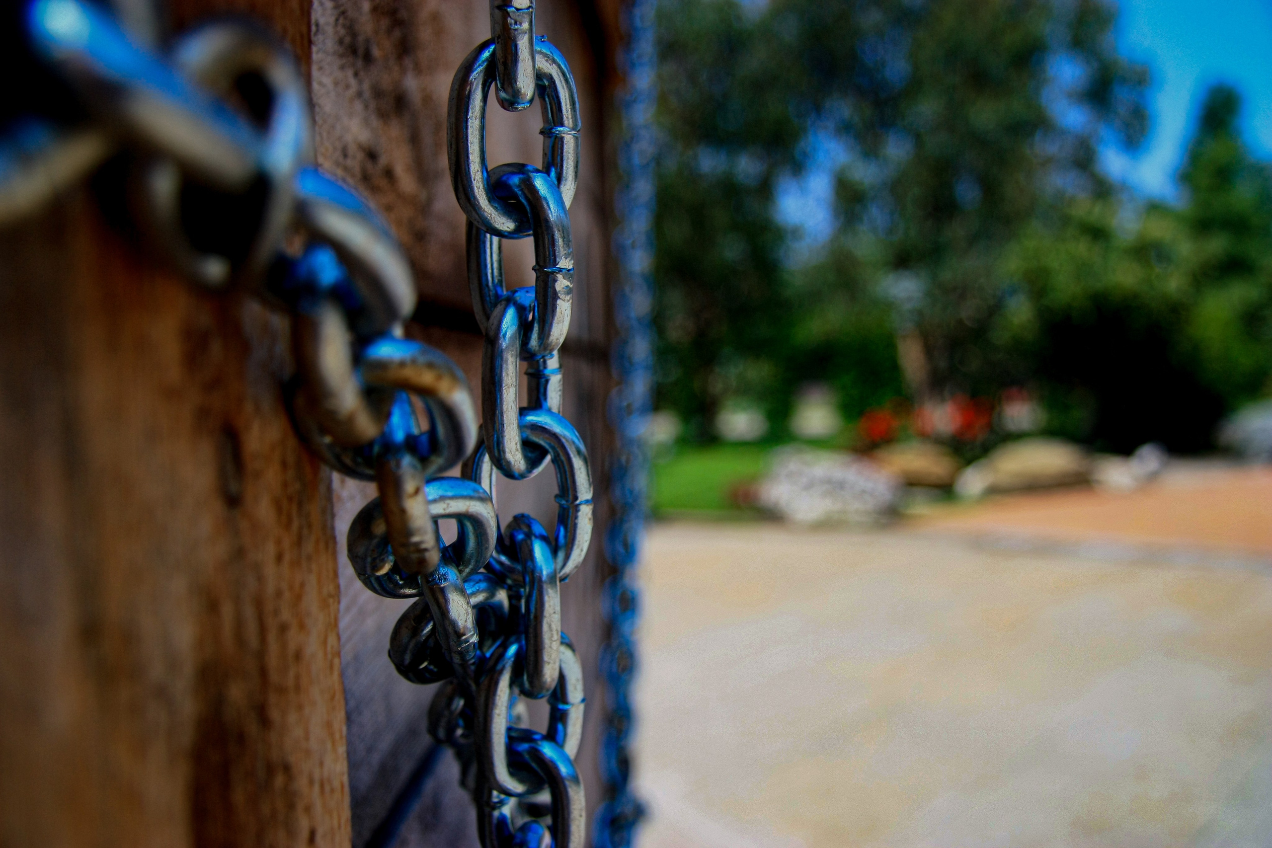 Первые кадры. Сочи — парк. Фотограф Роман Адлер