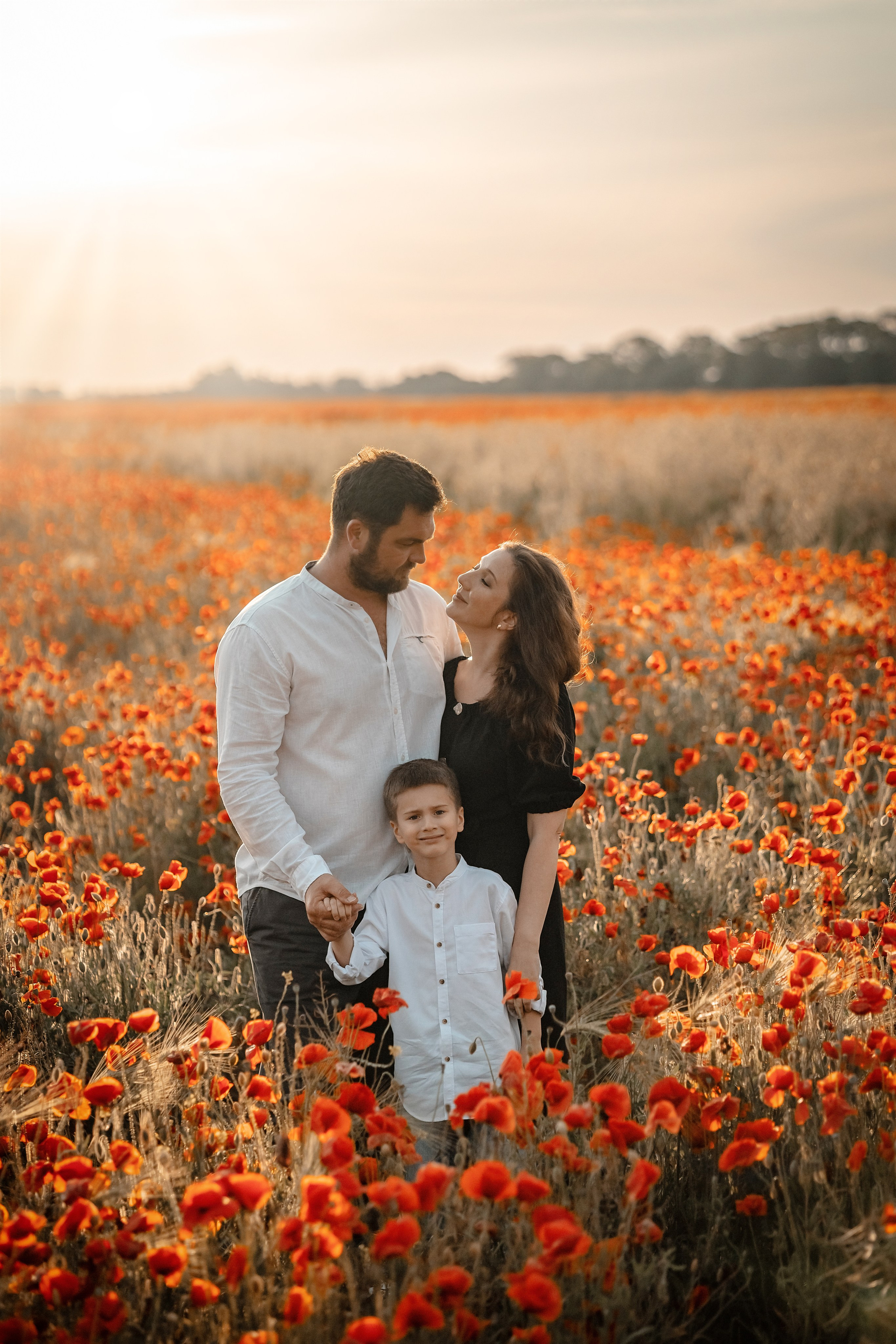 Яркие маки. Художественный фотограф Анапа Александра Долбикова