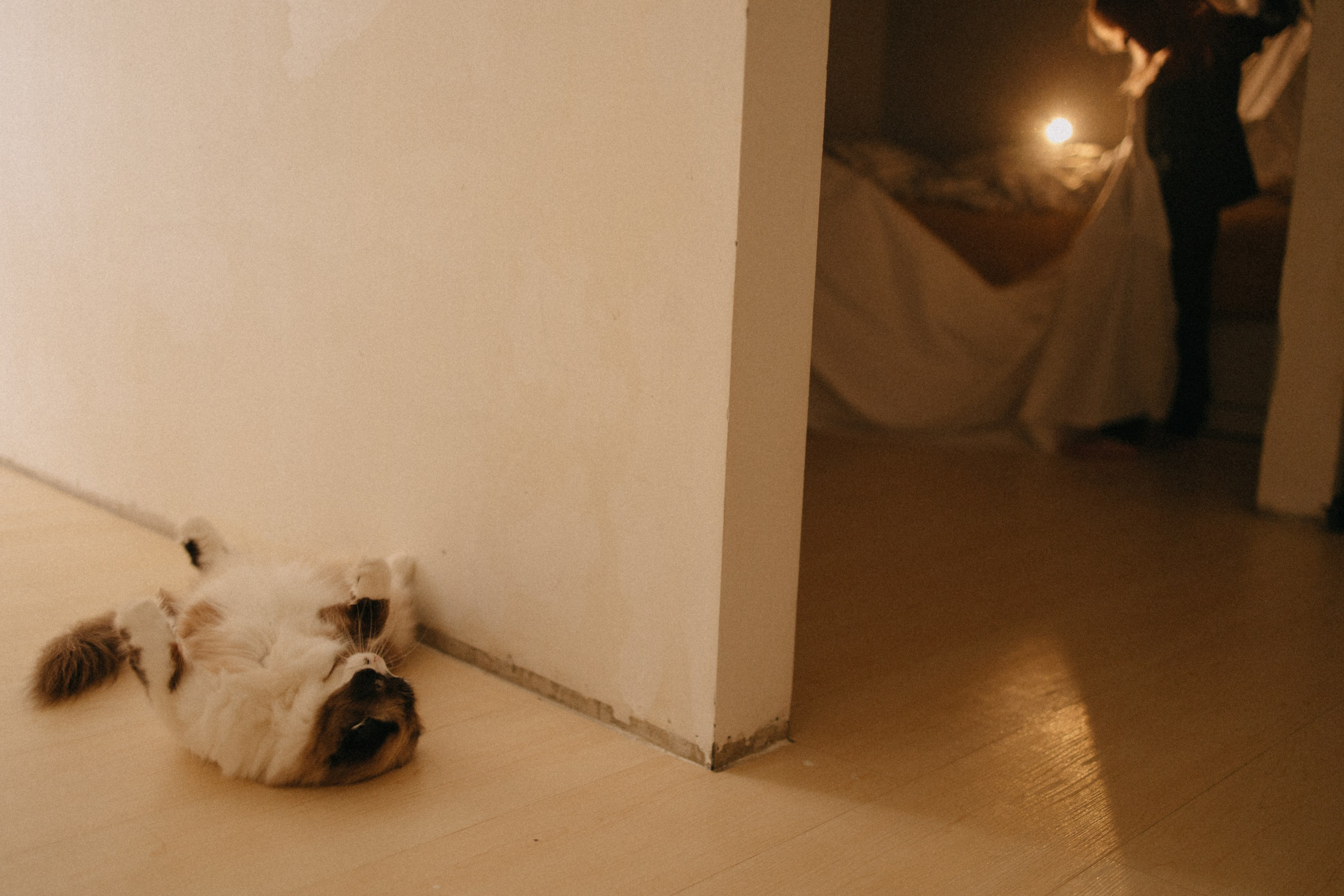 Театр теней. Фотограф Настя Леонова