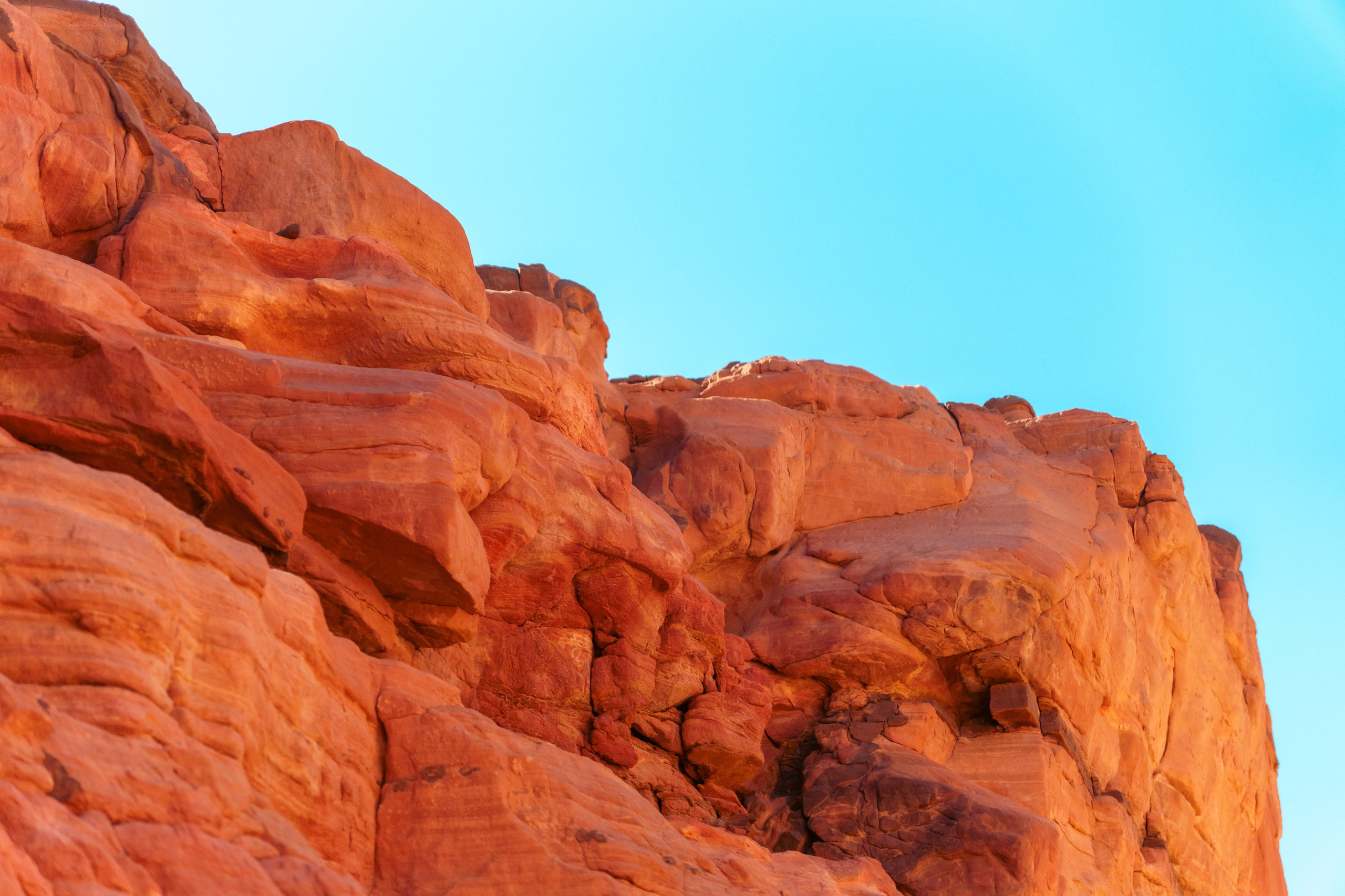 Природа. Фотограф в Санкт-Петербурге Ибрагимова Алина