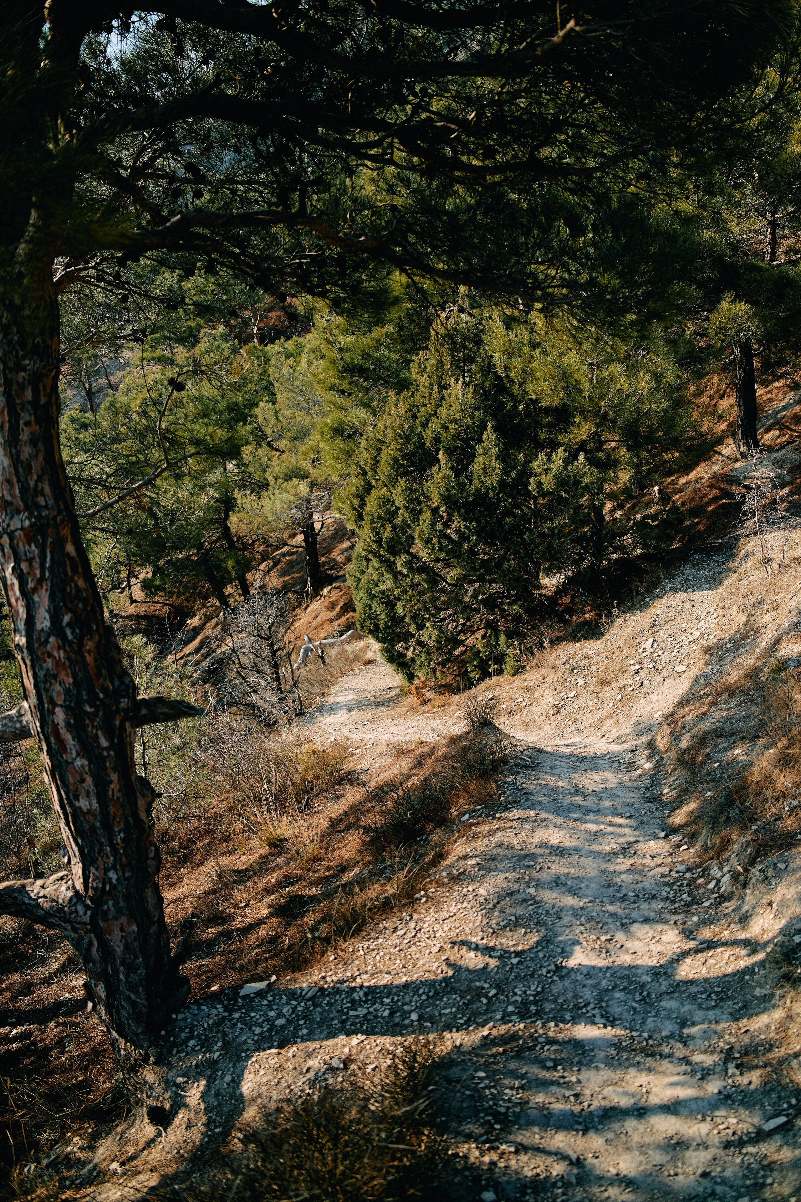 Юг России. Профессиональный Фотограф во Владимире, в Москве и в Суздале — Полина Романычева