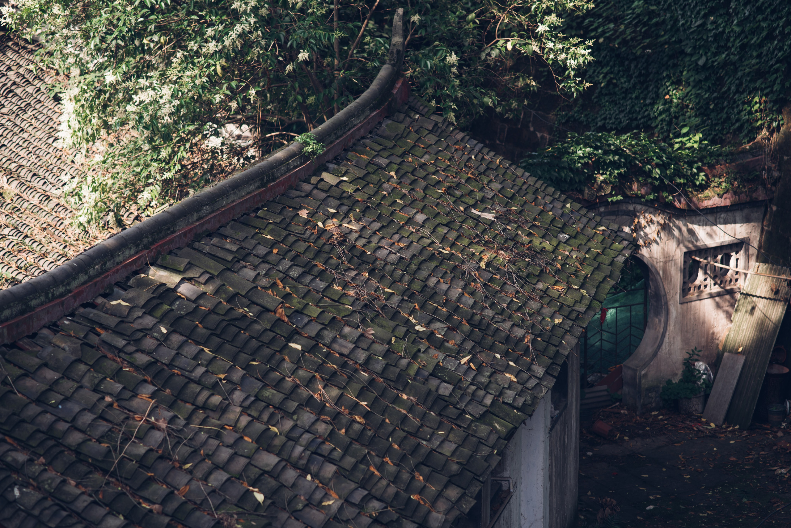 Рекламный фотограф из Гуанчжоу: путешествие по Уханю через объектив камеры. Коммерческий и предметный фотограф в Гуанчжоу Коваленко Александр