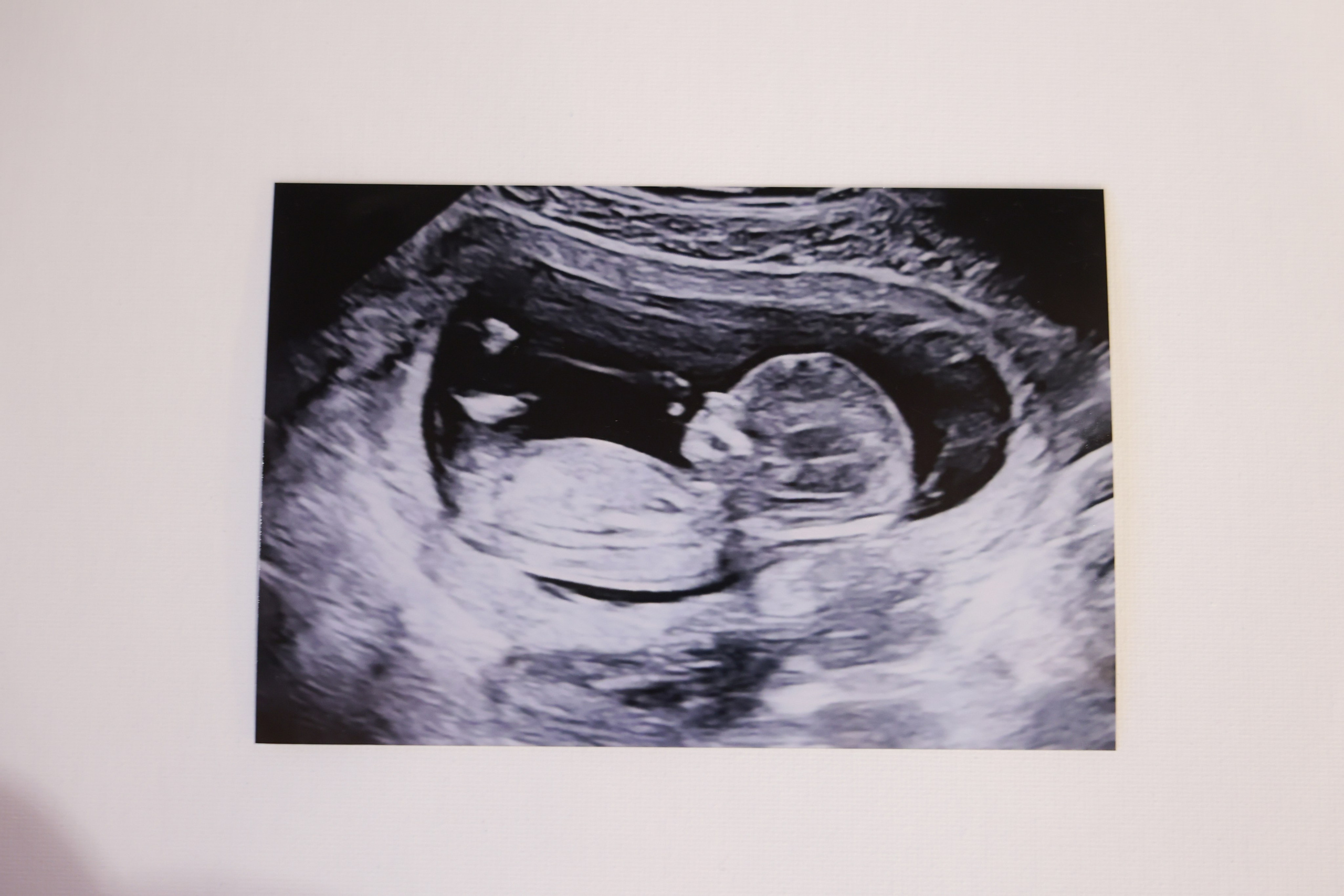 Серафимыч в пути. Фотограф НатаФото (Наталья Яковенко) Дмитров Москва Питер