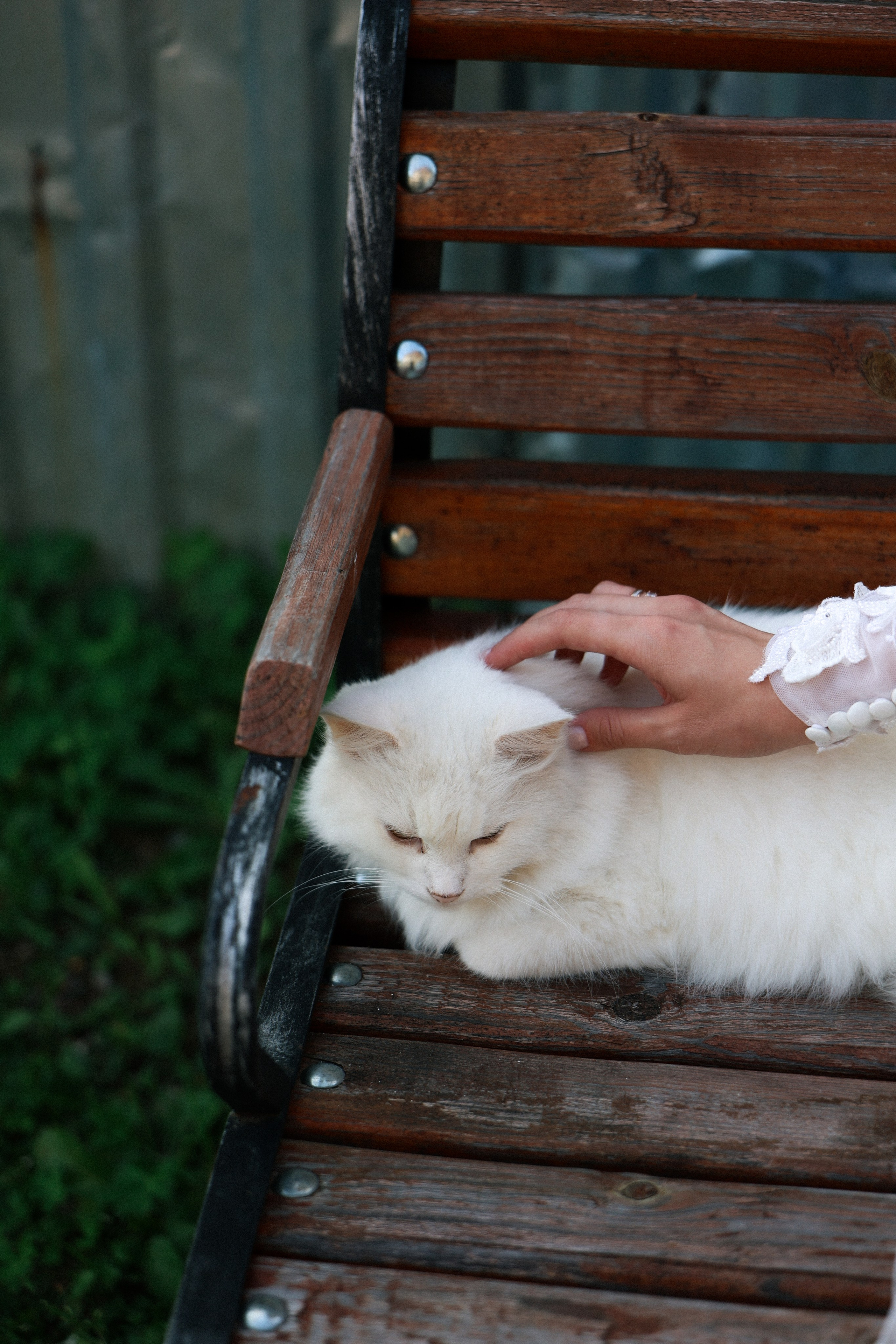 Екатерина и Дмитрий. Фотограф НатаФото (Наталья Яковенко) Дмитров Москва Питер