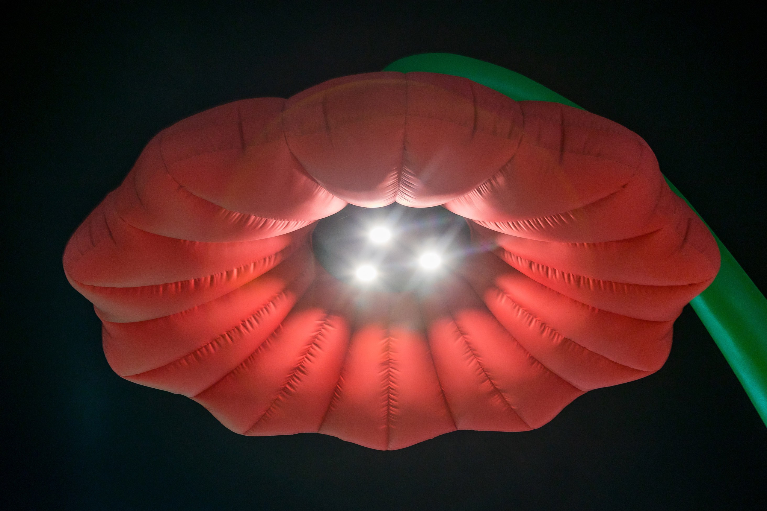 Exterior photography. Interior photographer Vitalii in Portland and Vancouver