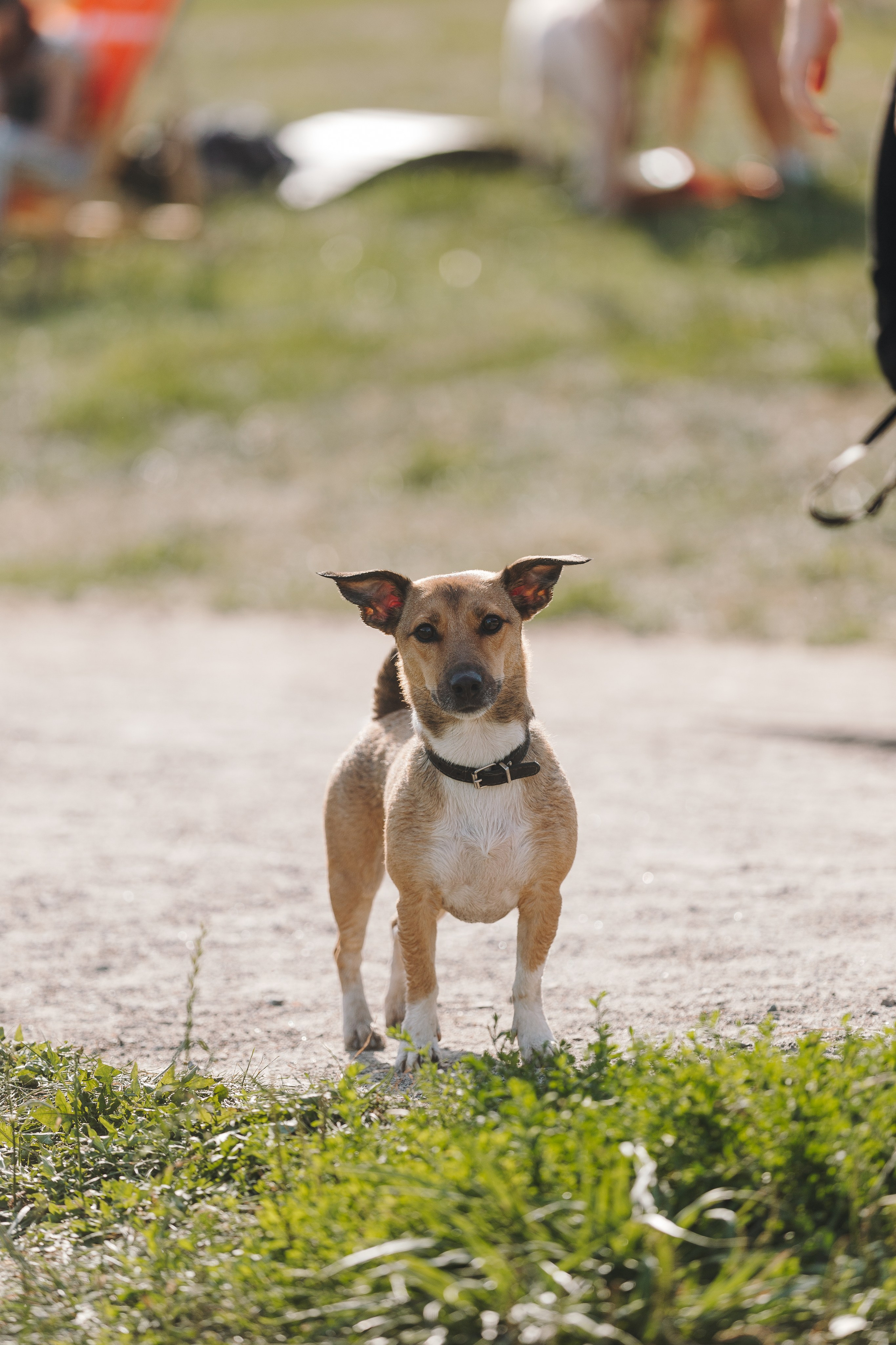 Petshop Sup day. Фотограф анималист Кристина Карпова, Москва
