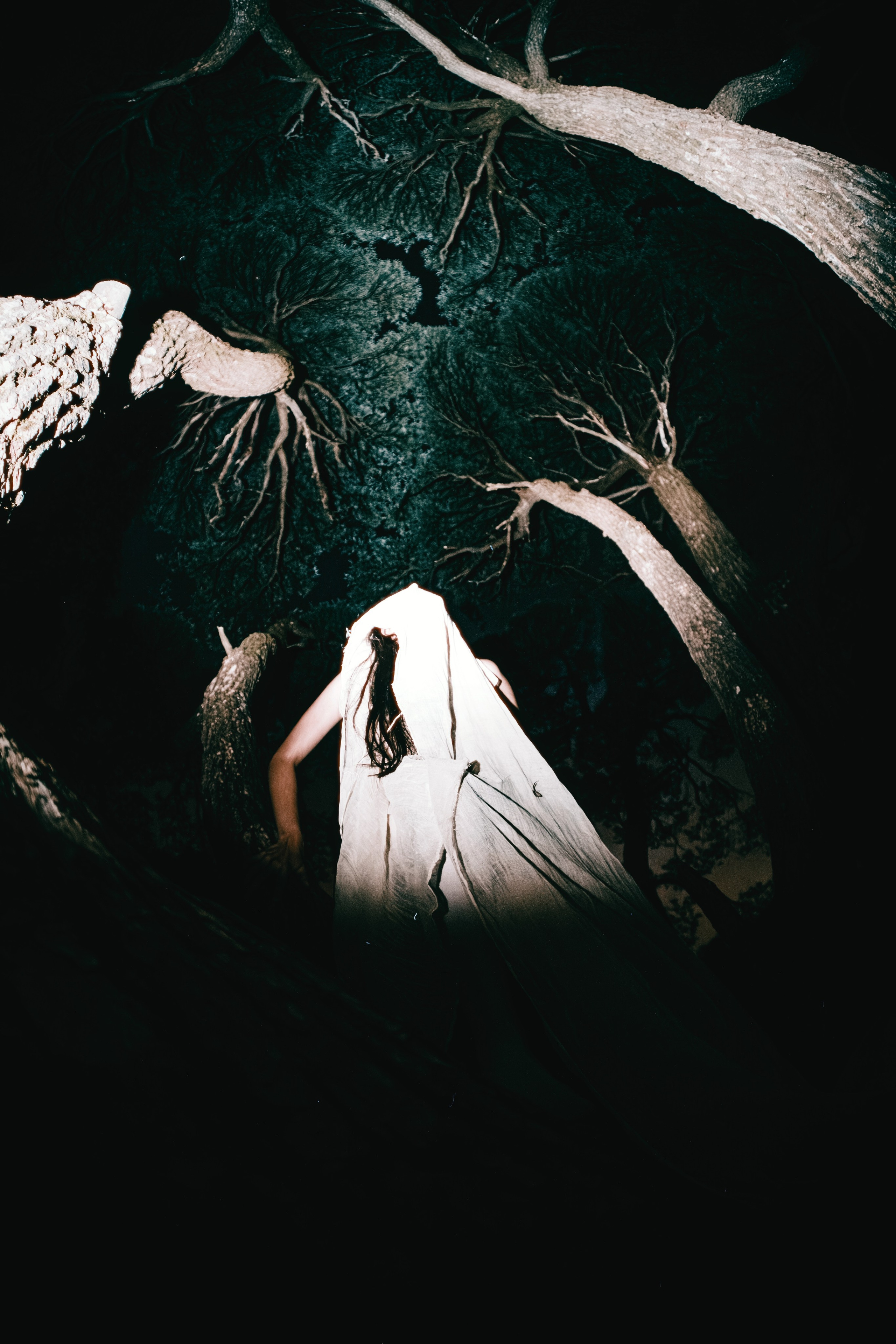 Individuali di ripresa. Fotografo a Mosca con un’atmosfera notturna di foto