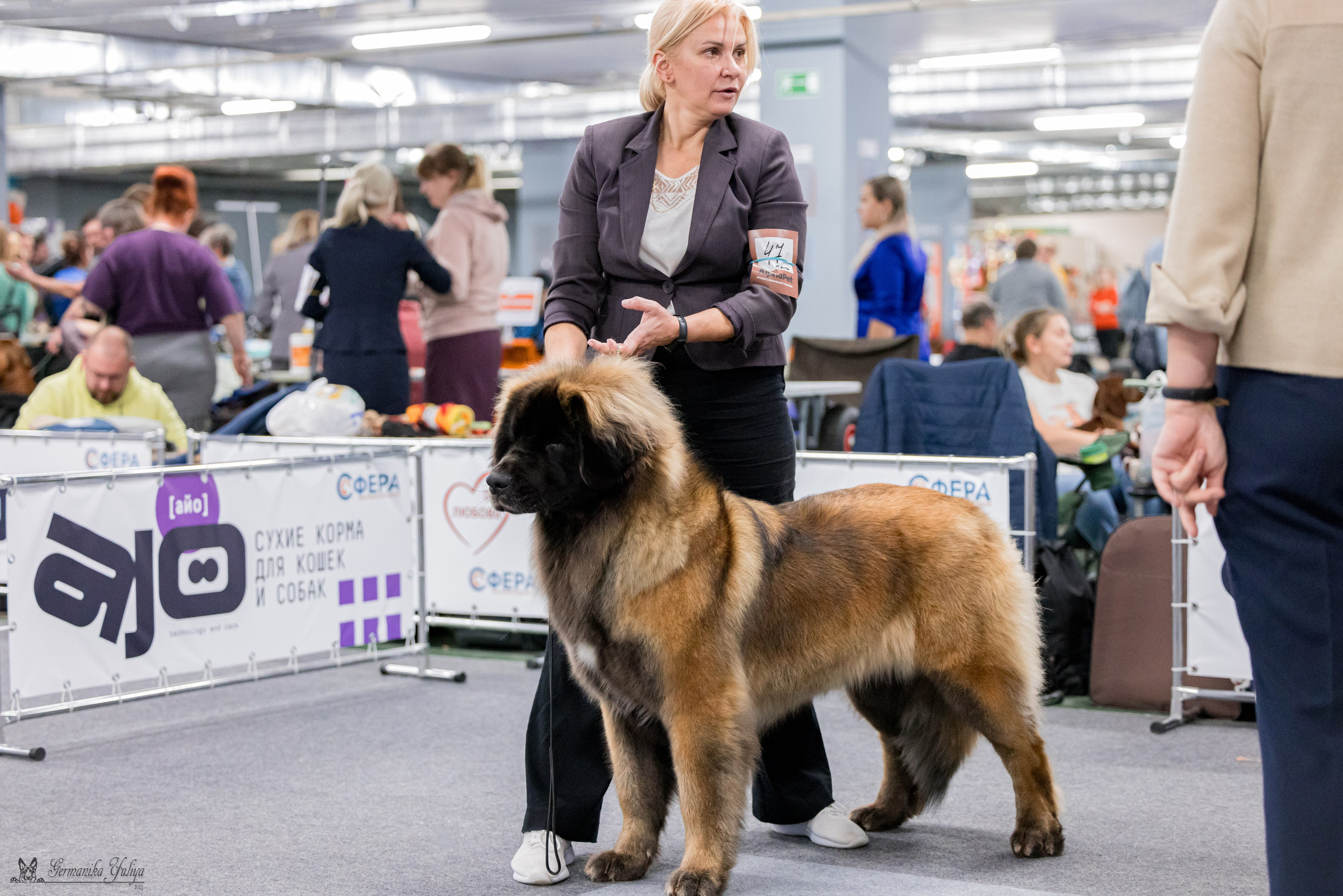 Сфера 29.10,Крокус 4.11,Сфера 12.11.2023. Фотограф-анималист Юлия Германика