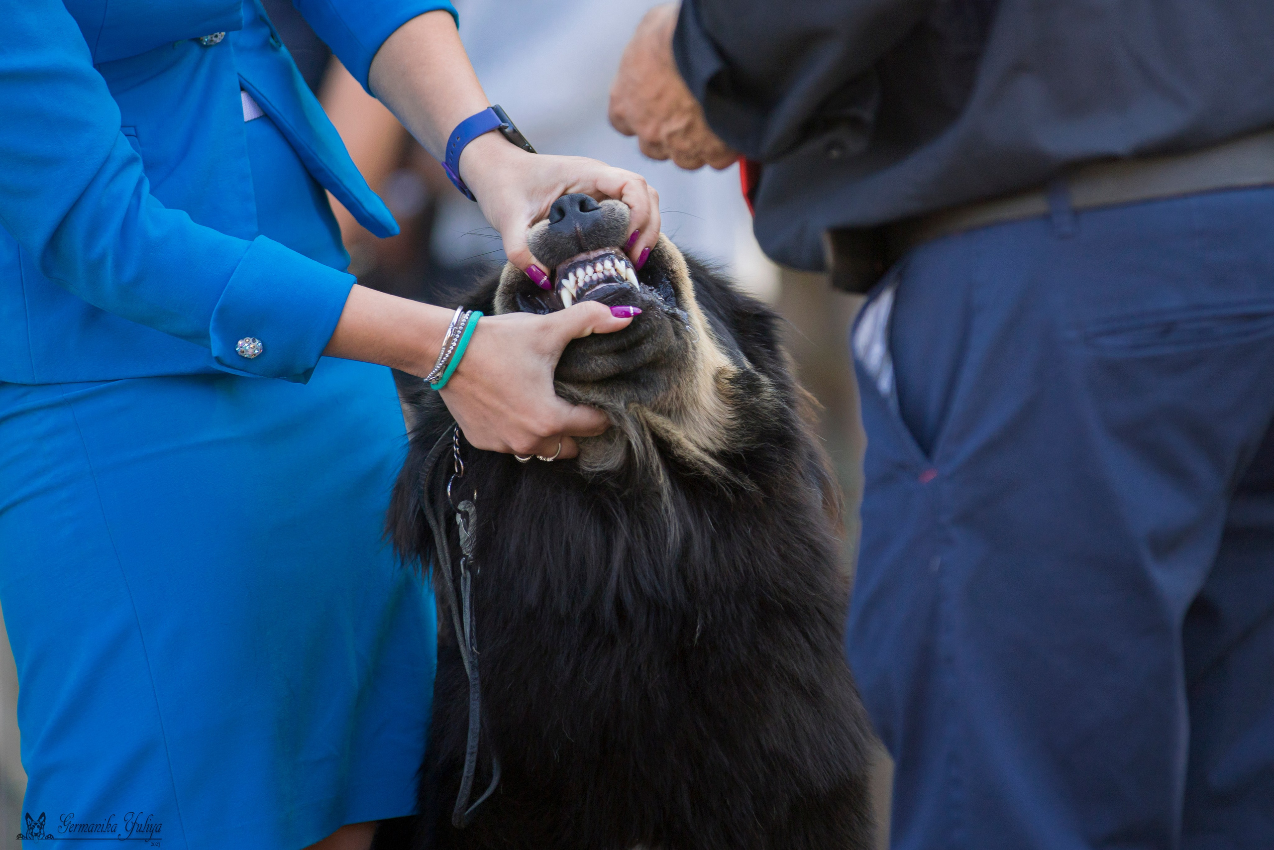 Бишкек 29.09-01.10.2023. Фотограф-анималист Юлия Германика