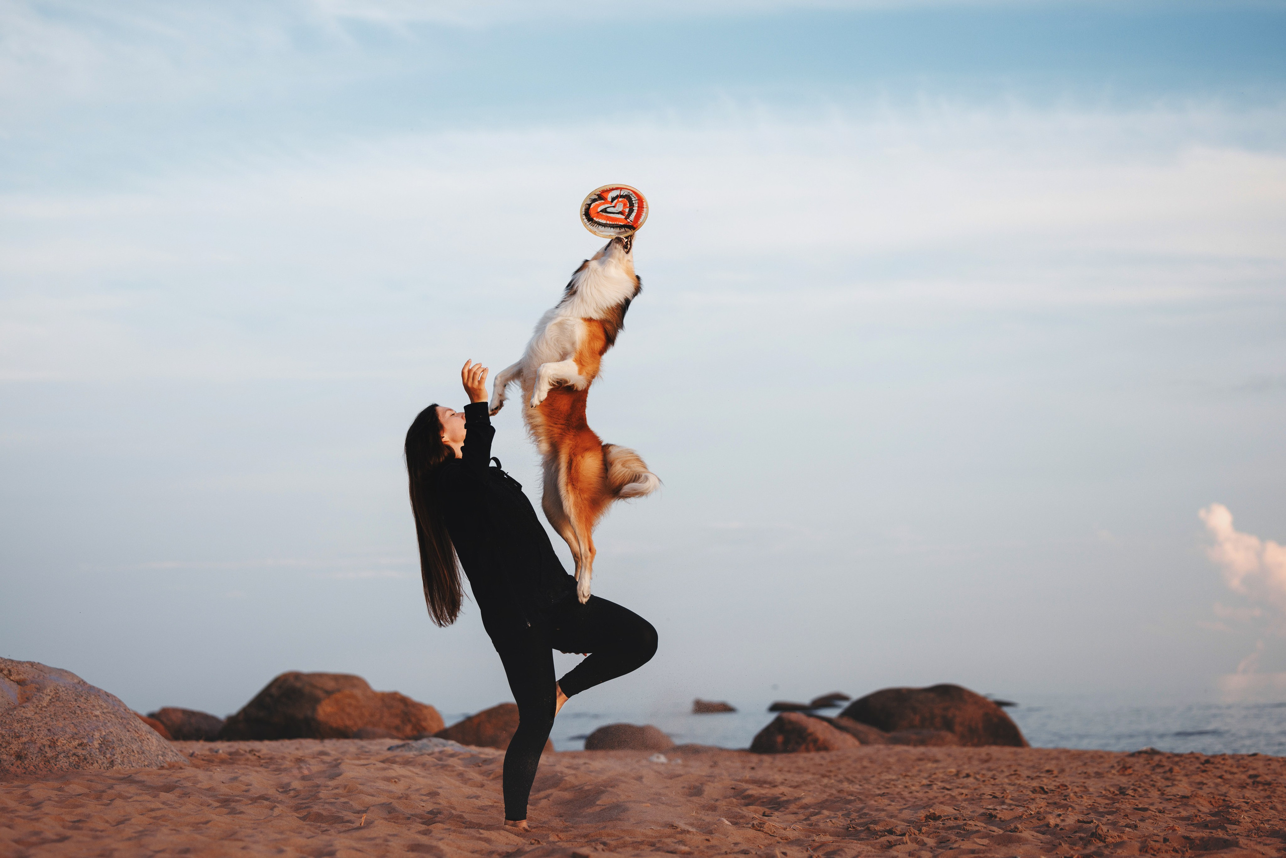 Рита, Маша и много собак. Фотограф анималист Осипчикова Мария