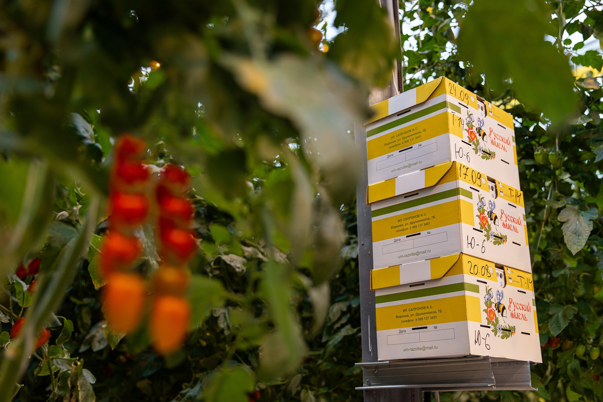 Производство. Фотограф Николай Петрушкин | Ставрополь, Москва