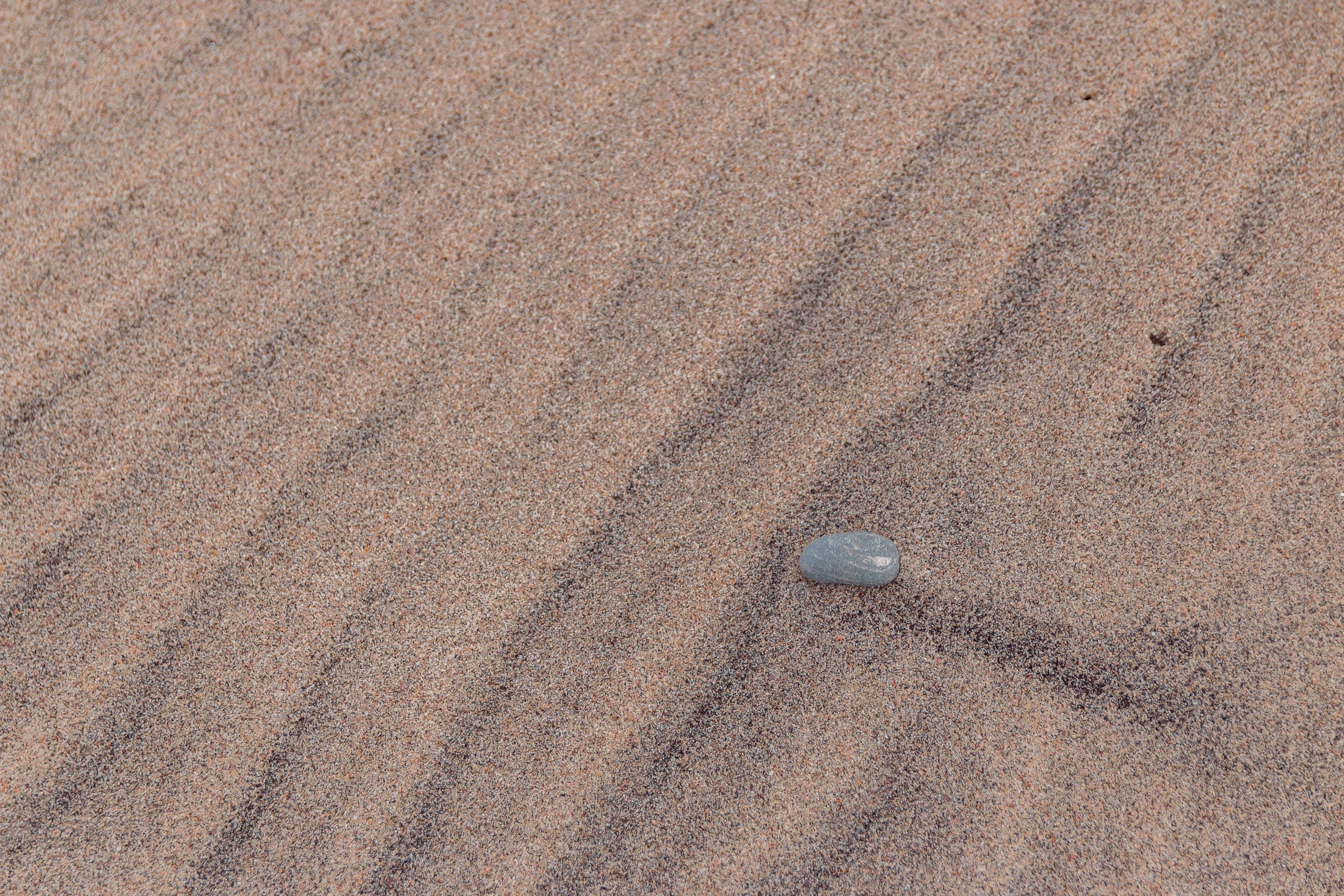 Алина и Иван | Куршская коса. Фотограф Елена Медок Калининград