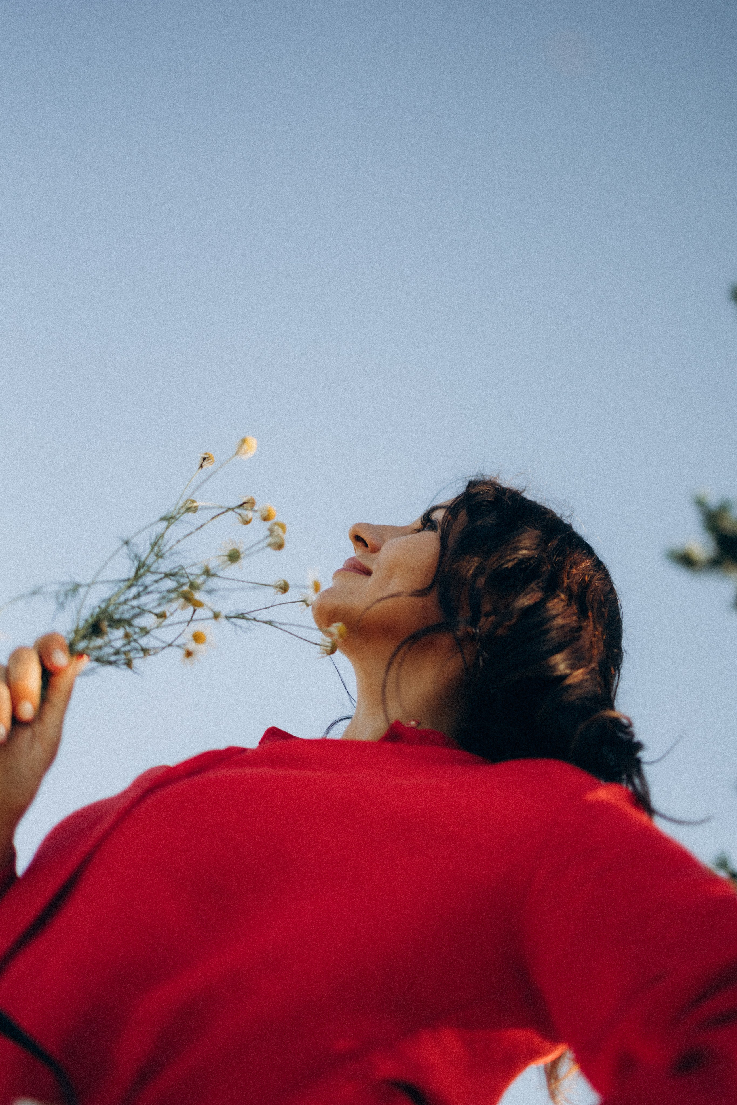 А в деревни лошади. Фотограф Москва Светлана Кирюшина