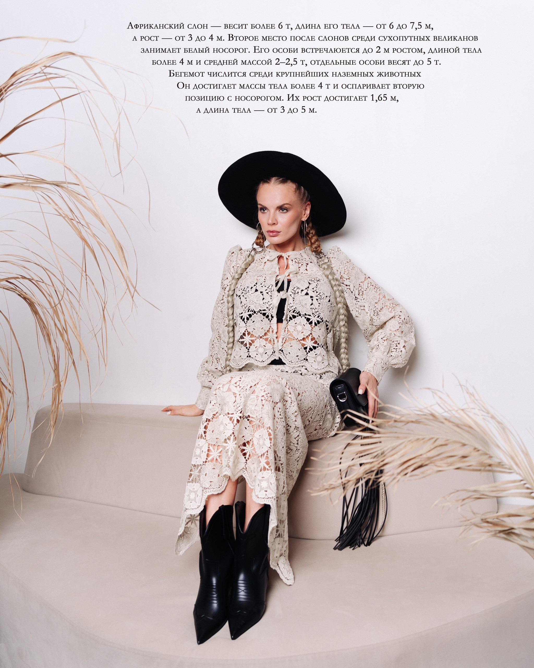 Cellestera. Журнал Камергер