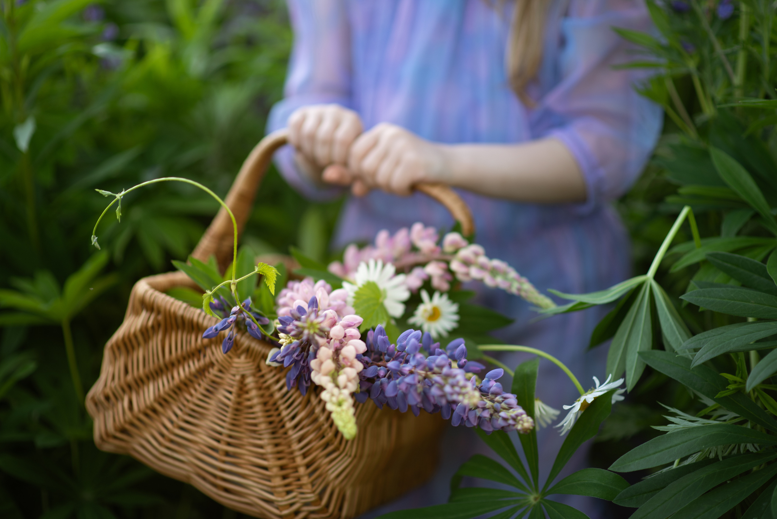 Лето/цветение. Семейный и детский фотограф в Москве Акамова Людмила