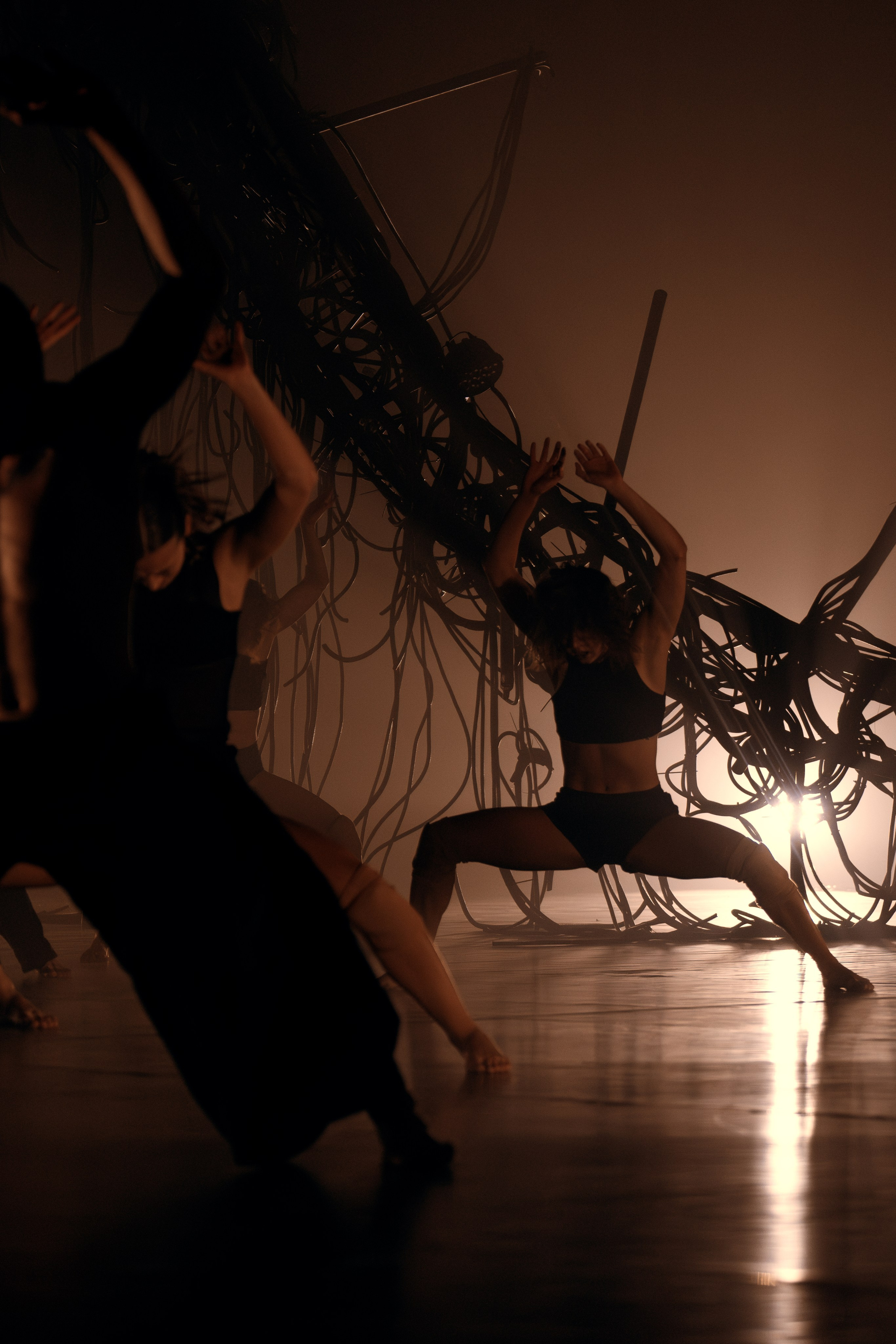 PERFORMA, The Hour of the Horse. @tomrus: Рустам Шагиморданов — фотограф