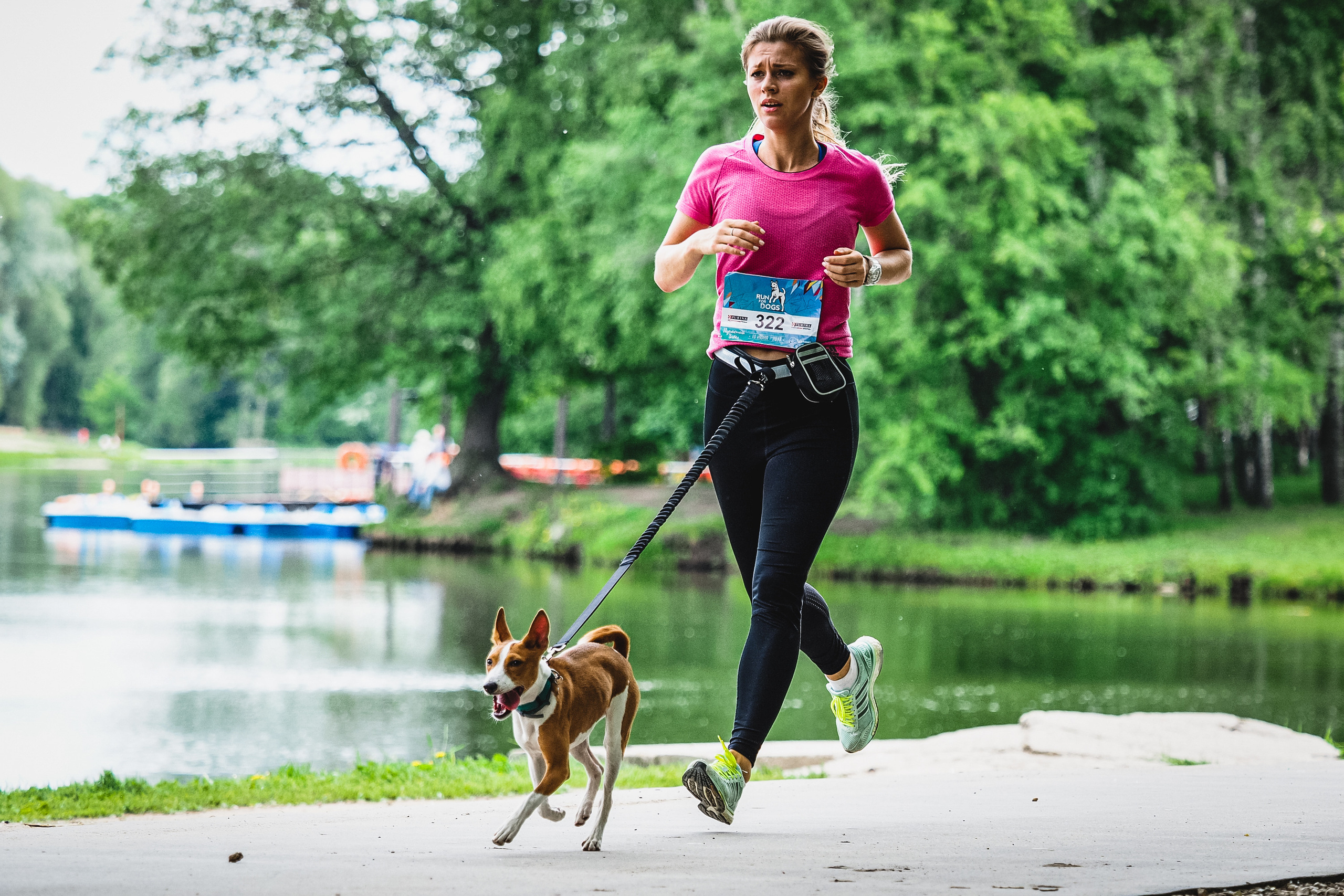 Пушистый забег. Спортивный и репортажный фотограф Иван Счетчиков