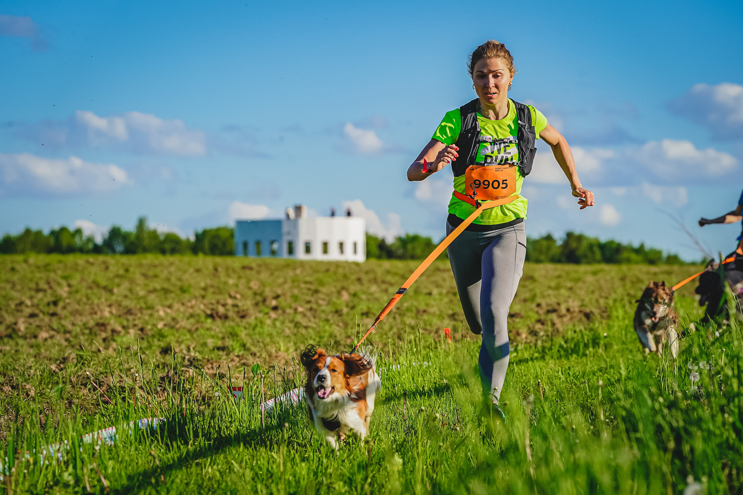 SPORT-MARAFON FEST Canisprint. Спортивный и репортажный фотограф Иван Счетчиков