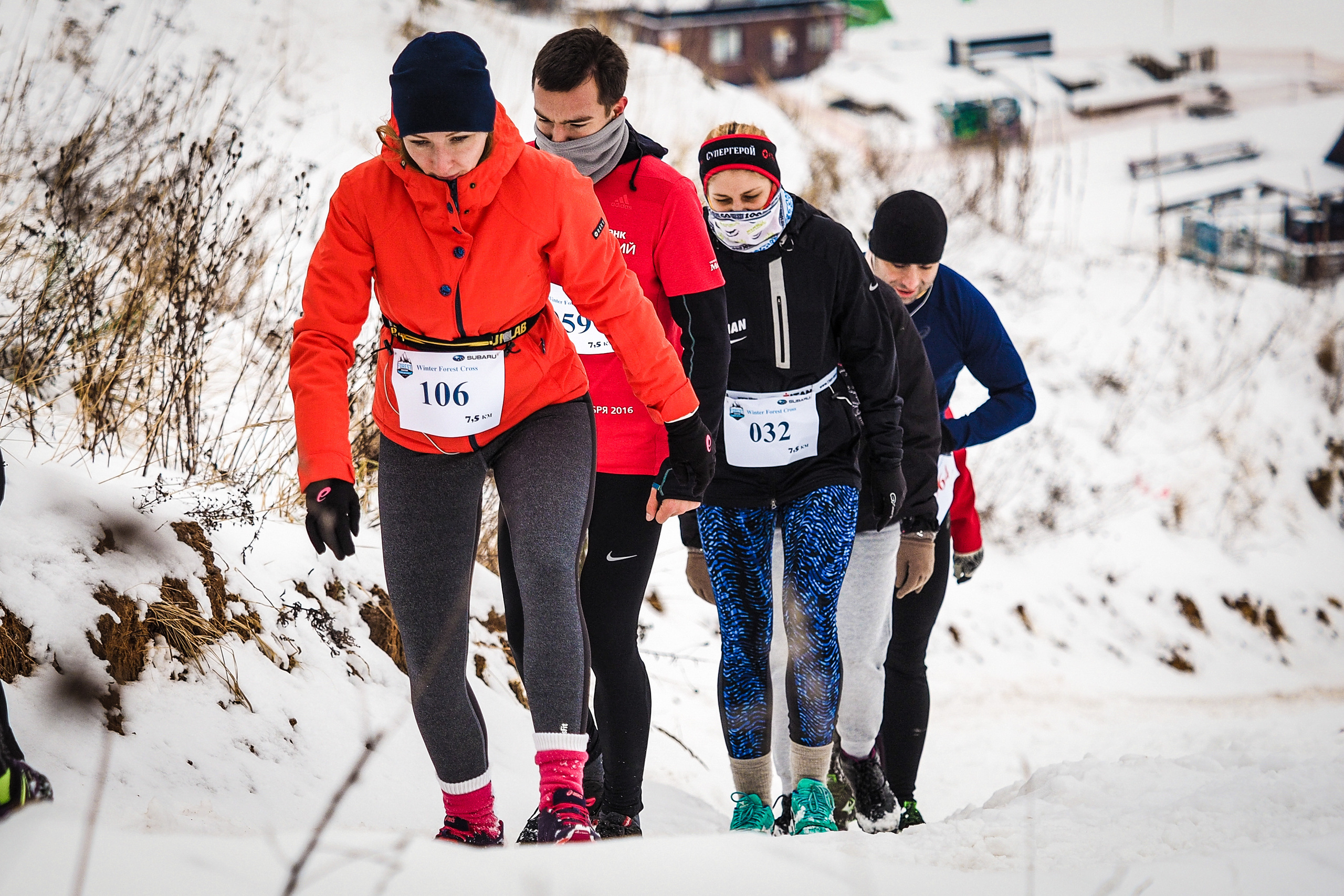 Winter Forest Cross. Спортивный и репортажный фотограф Иван Счетчиков
