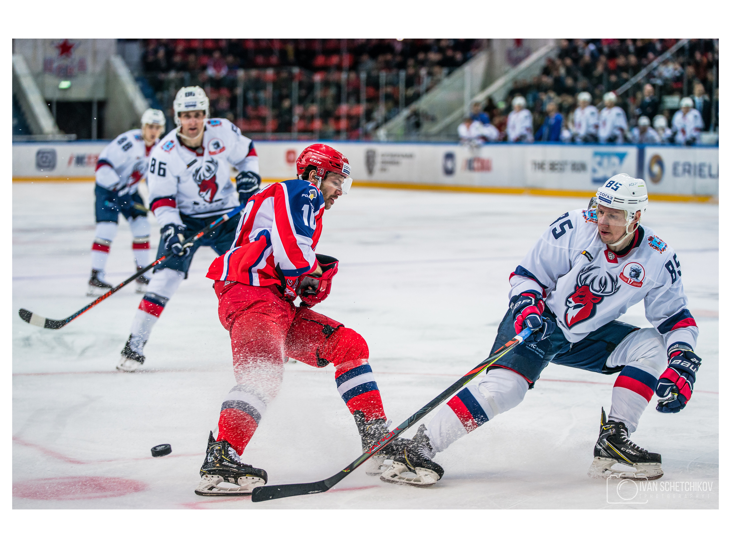 ЦСКА — Торпедо НН. Спортивный и репортажный фотограф Иван Счетчиков