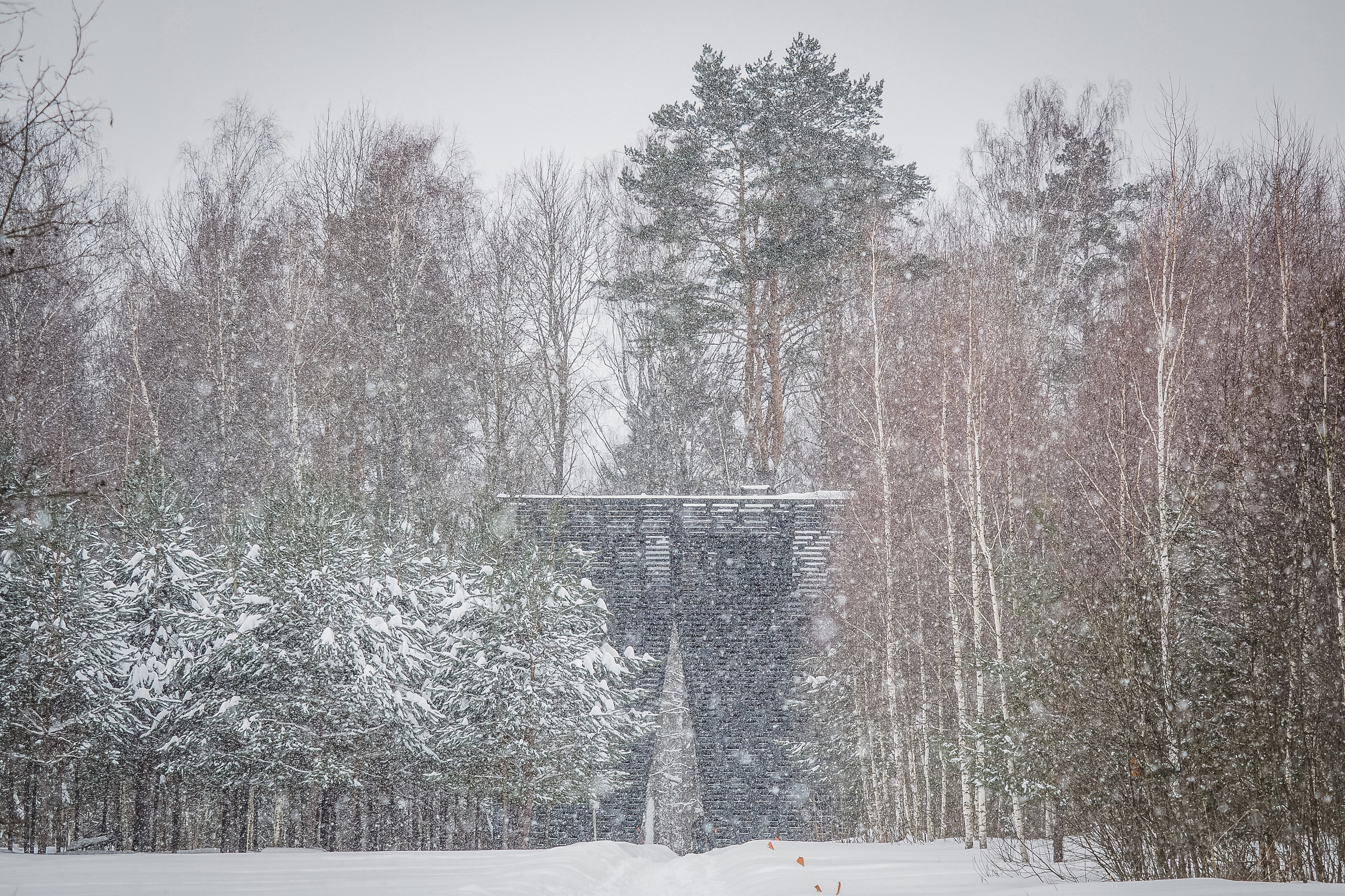 NLWT. Спортивный и репортажный фотограф Иван Счетчиков