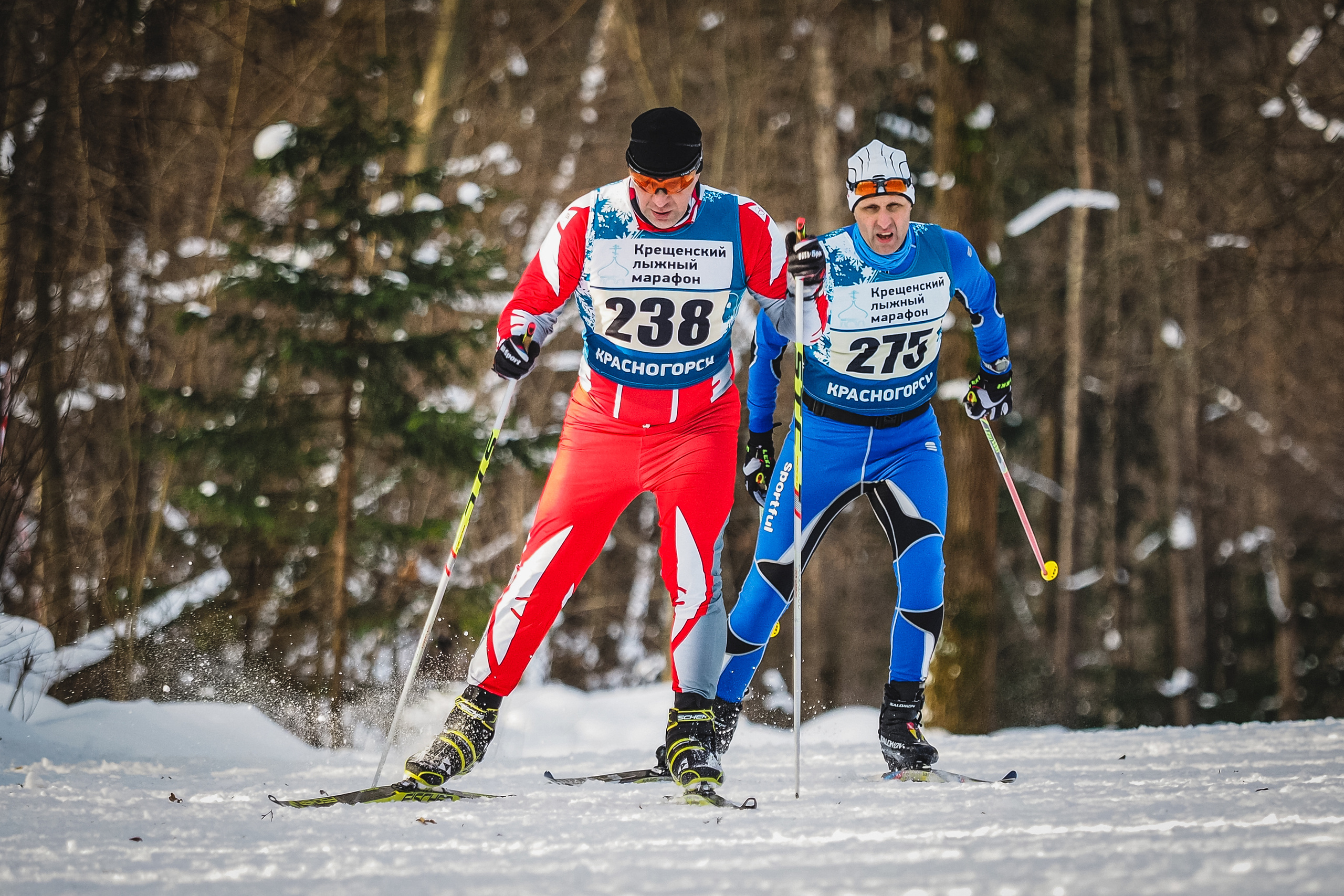 Крещенский лыжный марафон. Спортивный и репортажный фотограф Иван Счетчиков