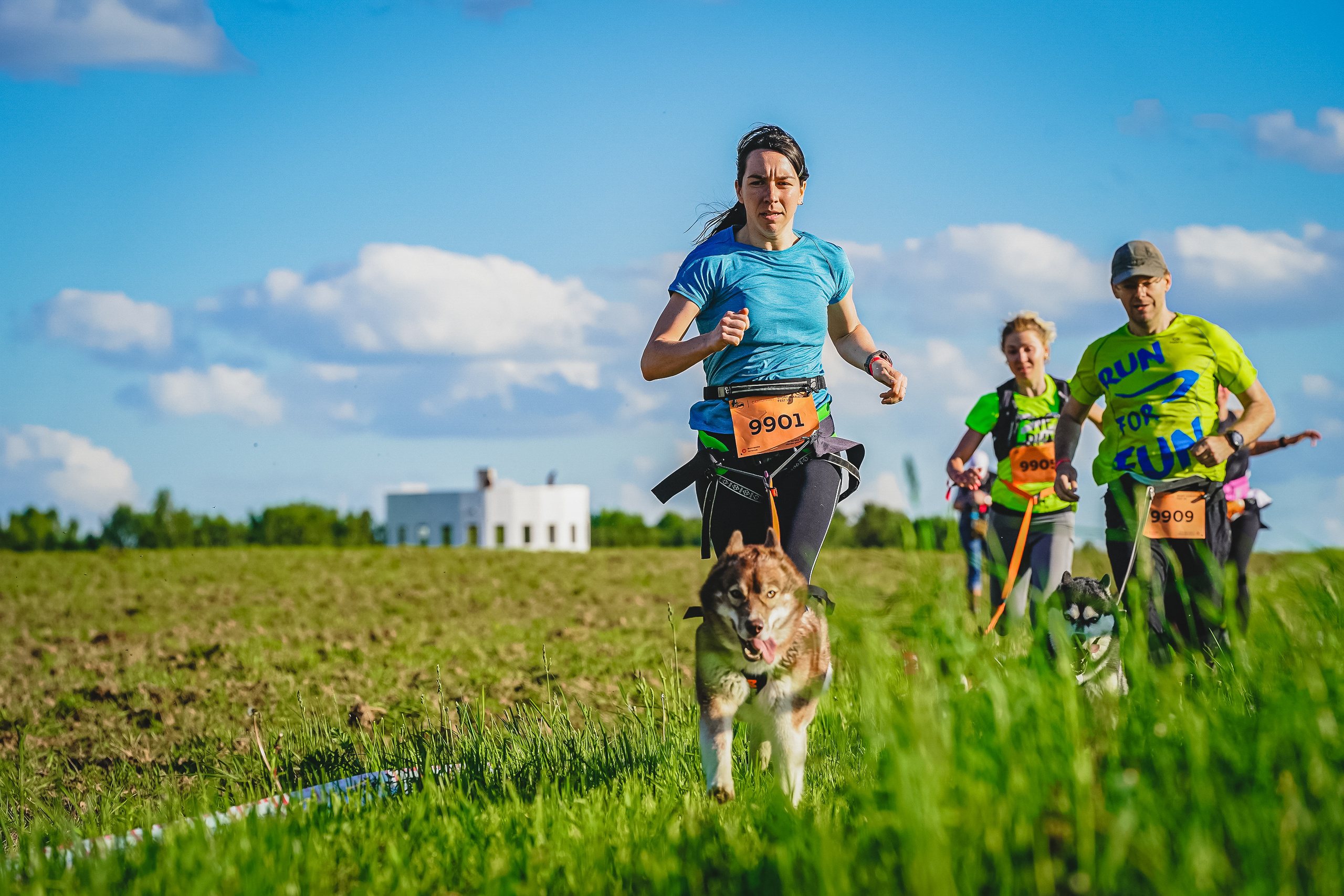 SPORT-MARAFON FEST Canisprint. Спортивный и репортажный фотограф Иван Счетчиков