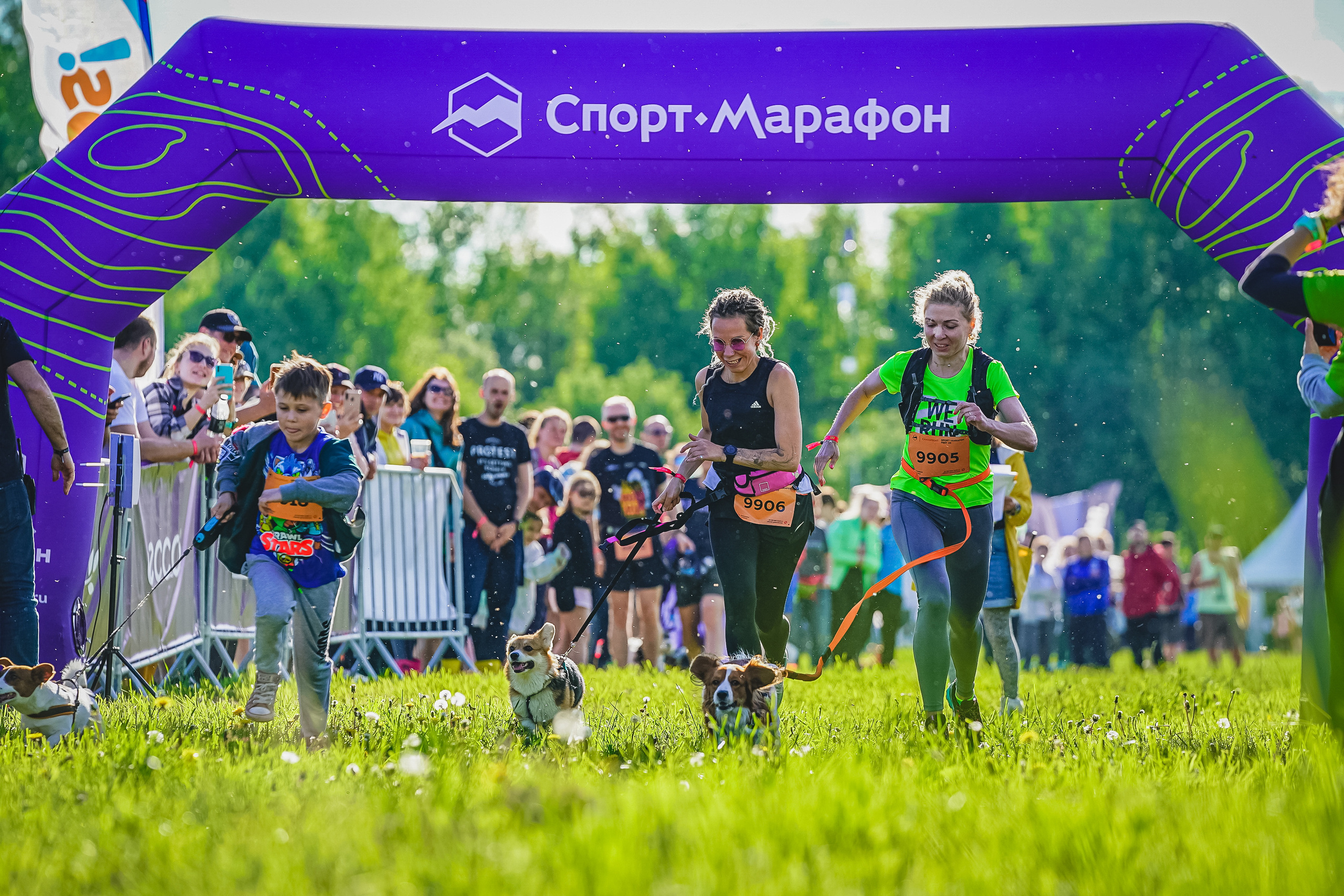 SPORT-MARAFON FEST Canisprint. Спортивный и репортажный фотограф Иван Счетчиков