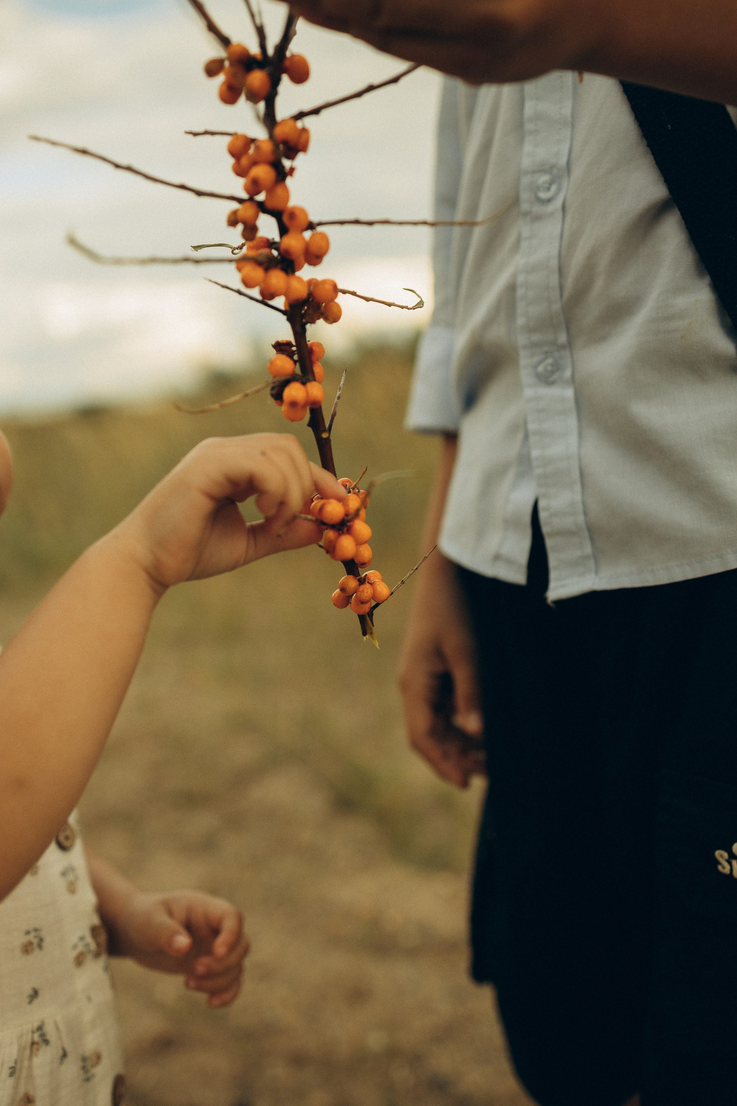 На природе. Семейный фотограф Новосибирск Фотограф на выписку Новосибирск