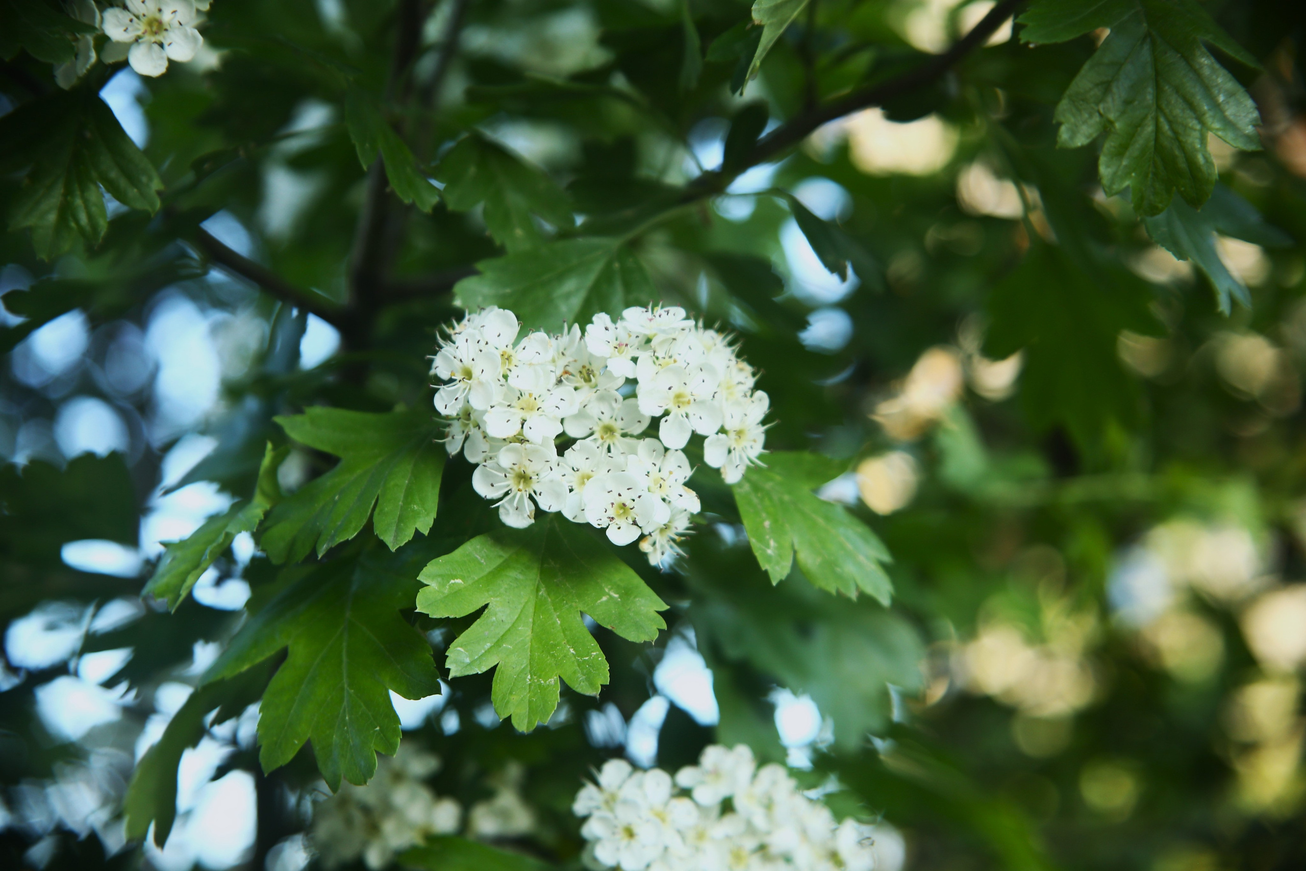Всё, что я вижу вокруг себя