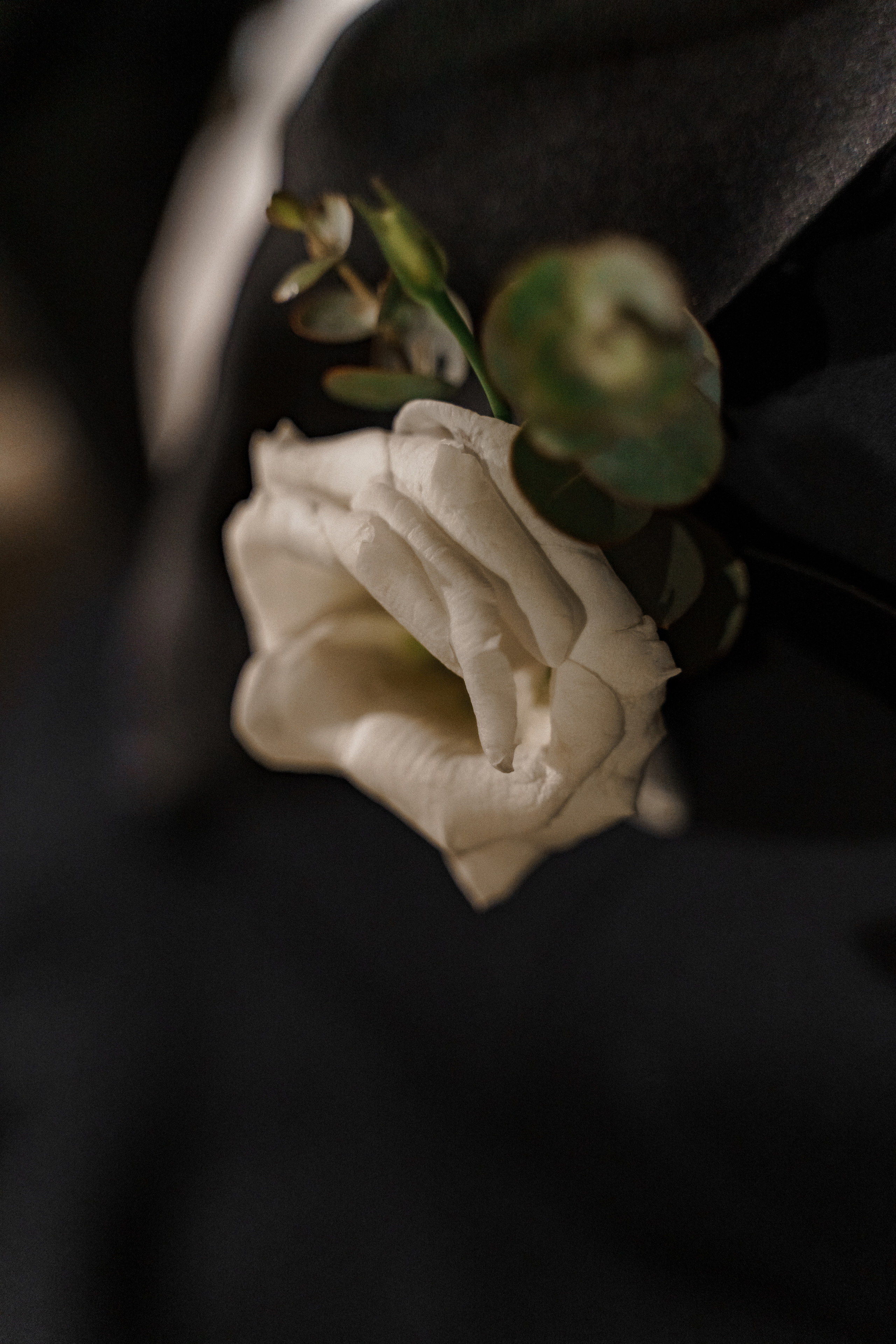 Свадебная фотосъемка, свадьба, свадебный фотограф, фотограф видеограф