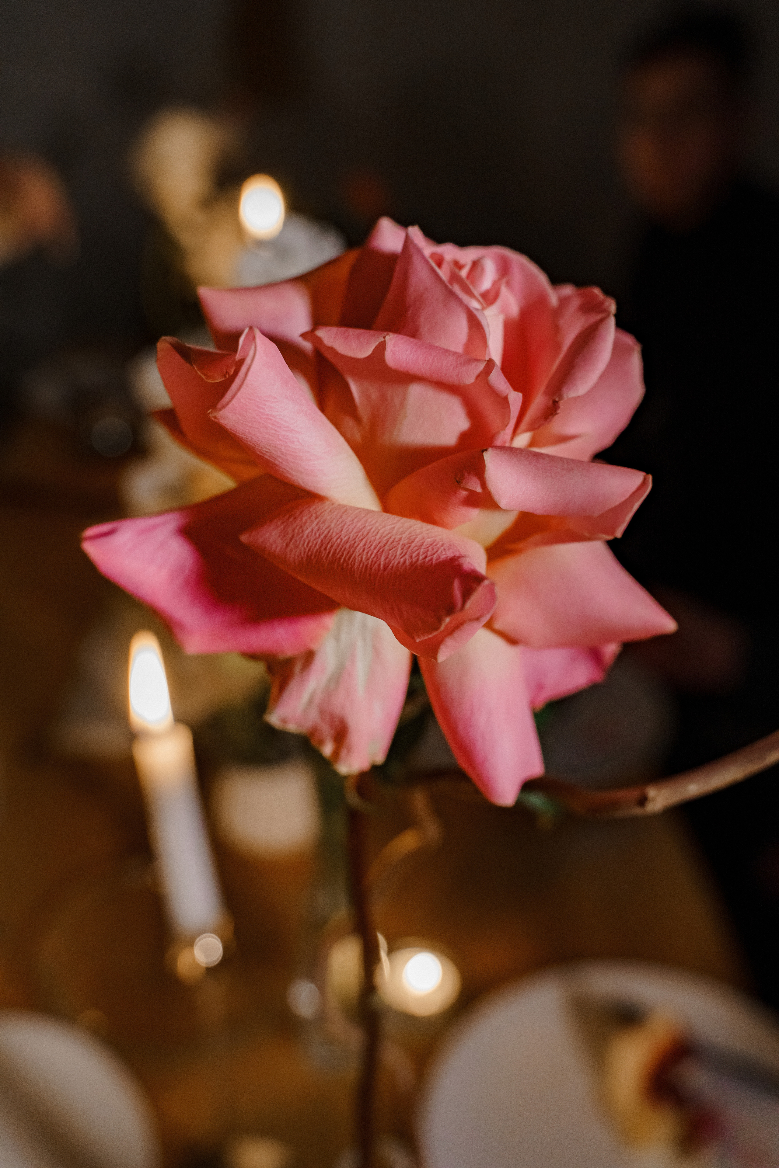 Свадебная фотосъемка, свадьба, свадебный фотограф, фотограф видеограф