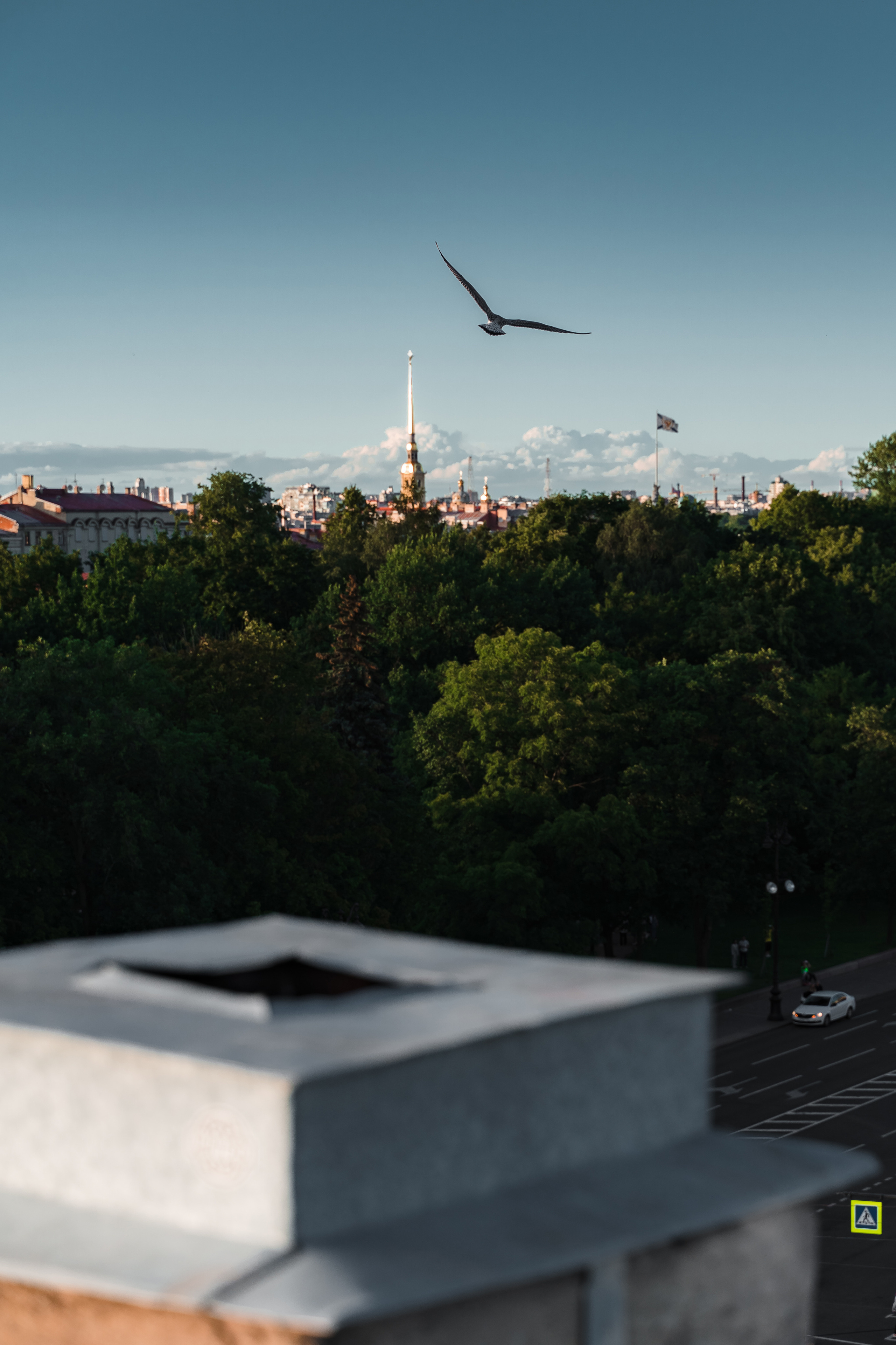 Лавстори на крыше напротив Исаакиевского собора