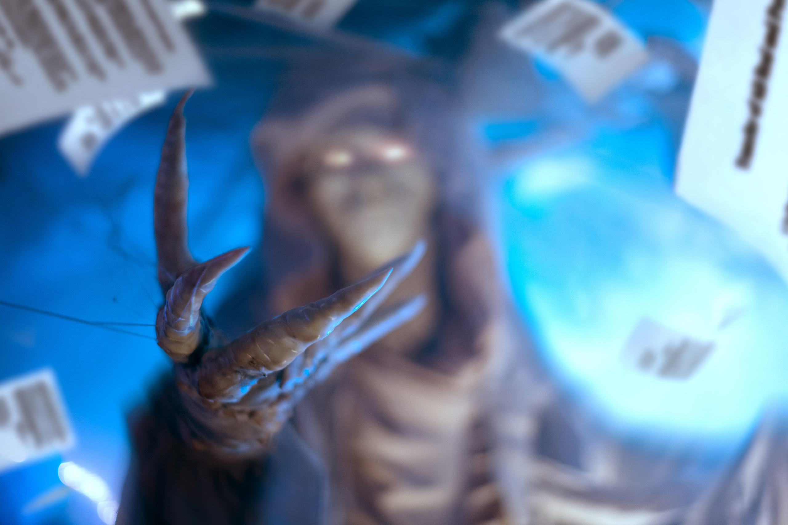 Квесты. Твой идеальный фотограф