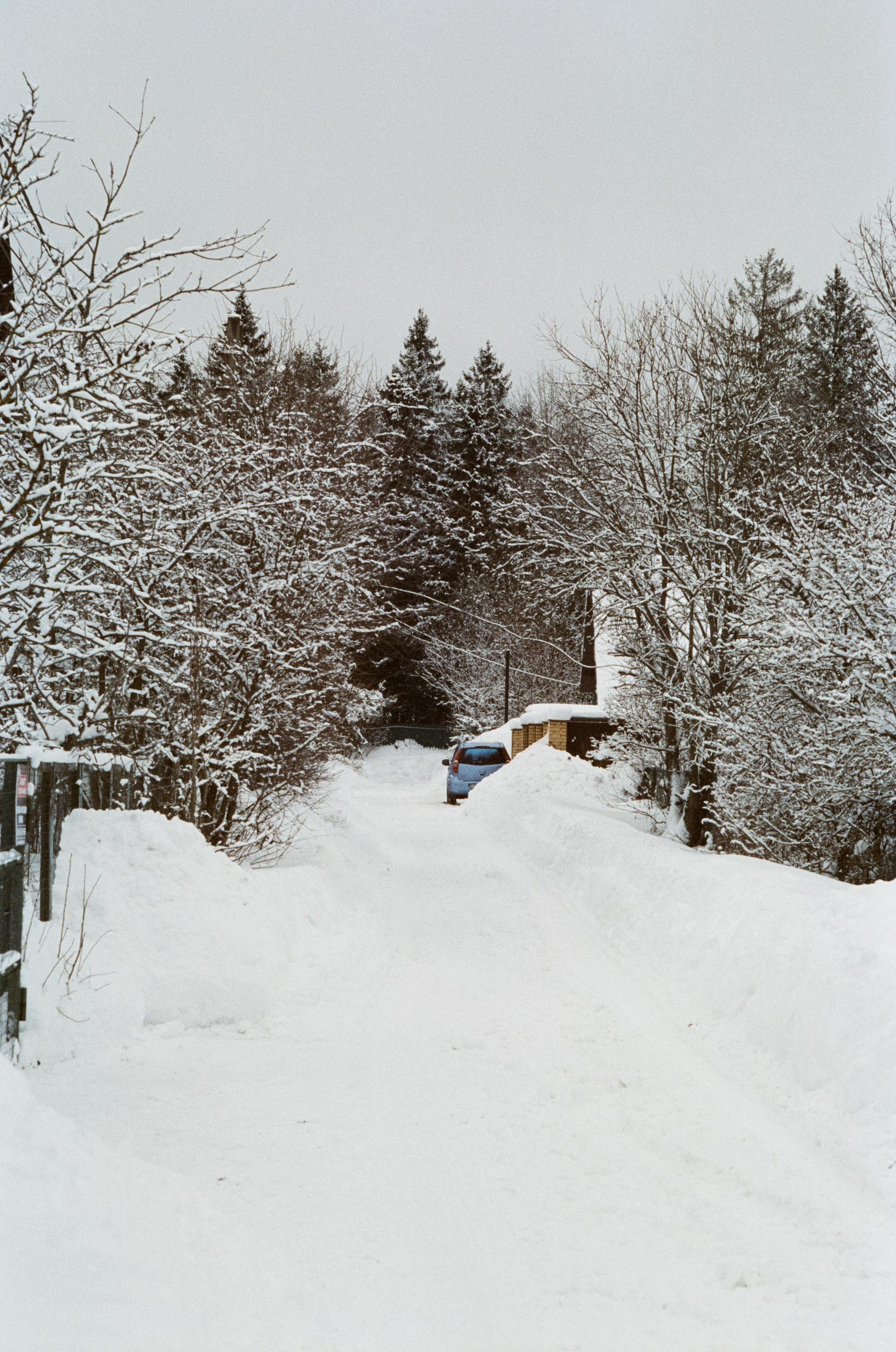 SFL 500T (Kodak Vision 3 500T) / Canon T80 / Canon FD 85 mm f1.2 L