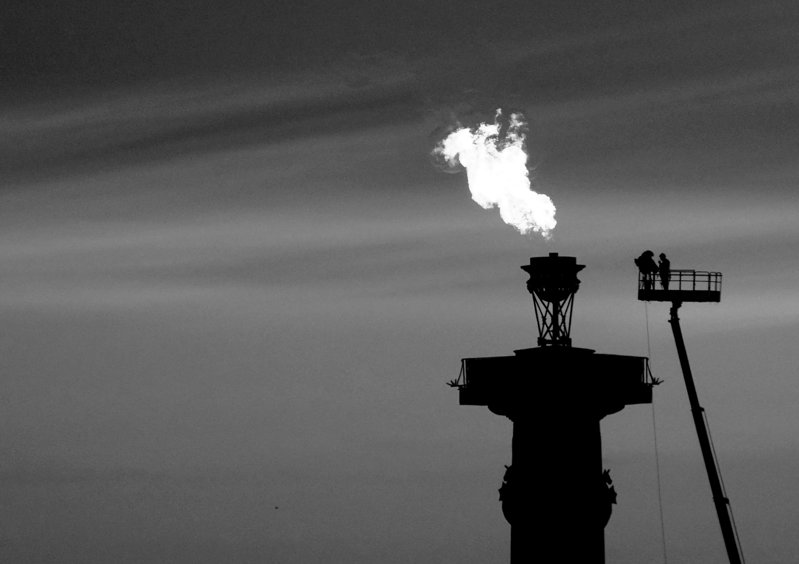 Выставка «Наблюдатель». Георгий Тришаков