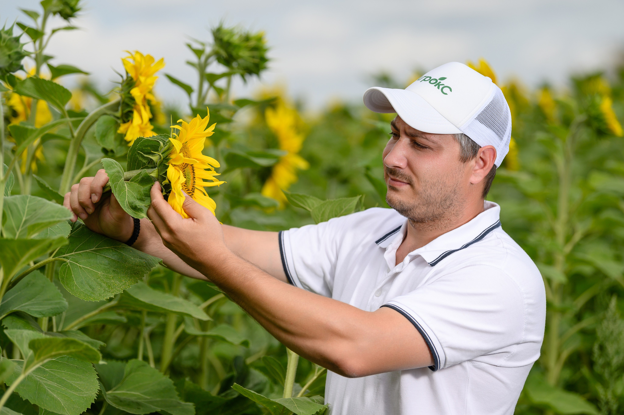 фотосъемка для агропредприятий, фотосъемка сельхозпродукции, фотосъемка для агробизнеса, фотосъемка для сельхозпроизводителей, агрофото, фотосъемка для сельхозкомпаний, фотосъемка сельхозтехники, фотосъемка урожая, агрофотосъемка