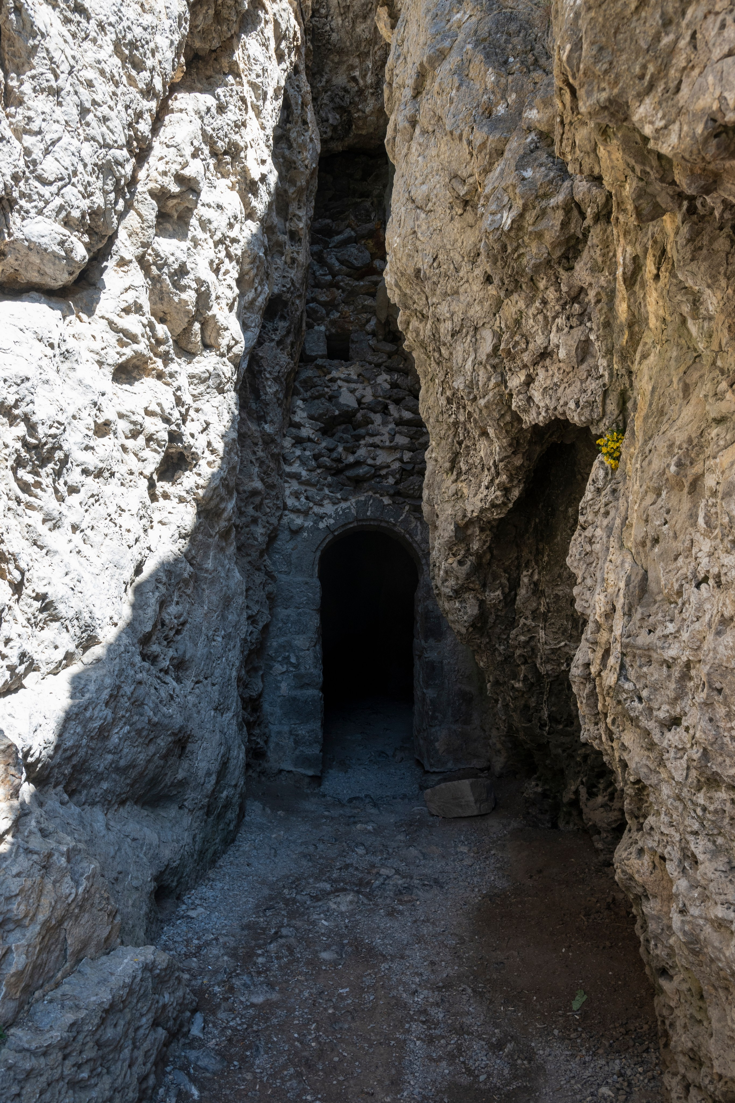 Крым май 2022. Фотограф Роман Адлер