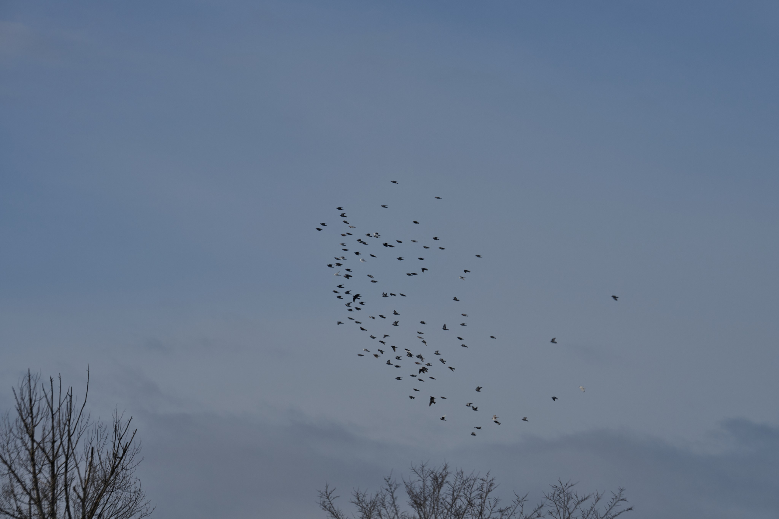 Рубежное. Январь 2026. Фотограф Роман Адлер