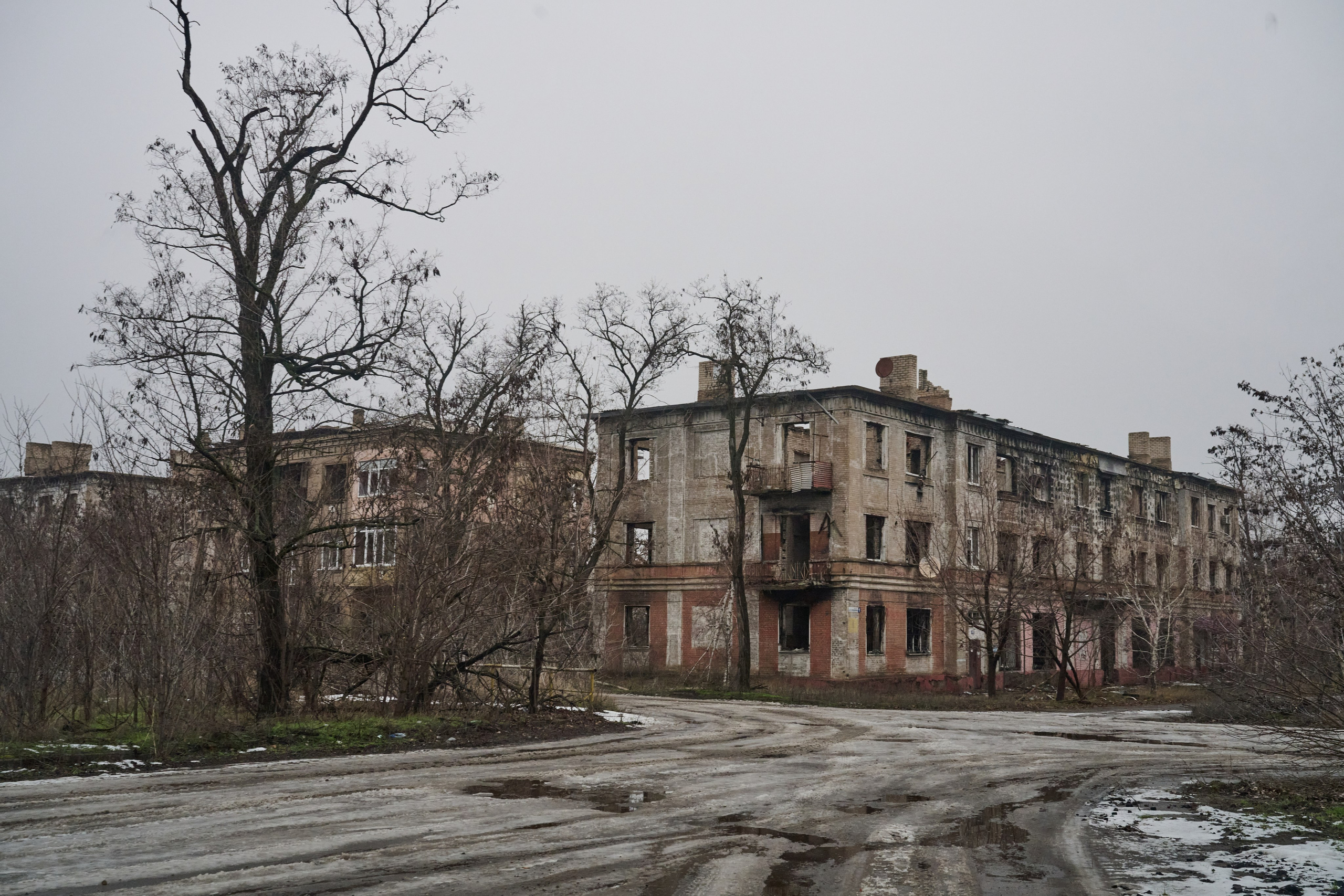 Рубежное. Январь 2026. Фотограф Роман Адлер