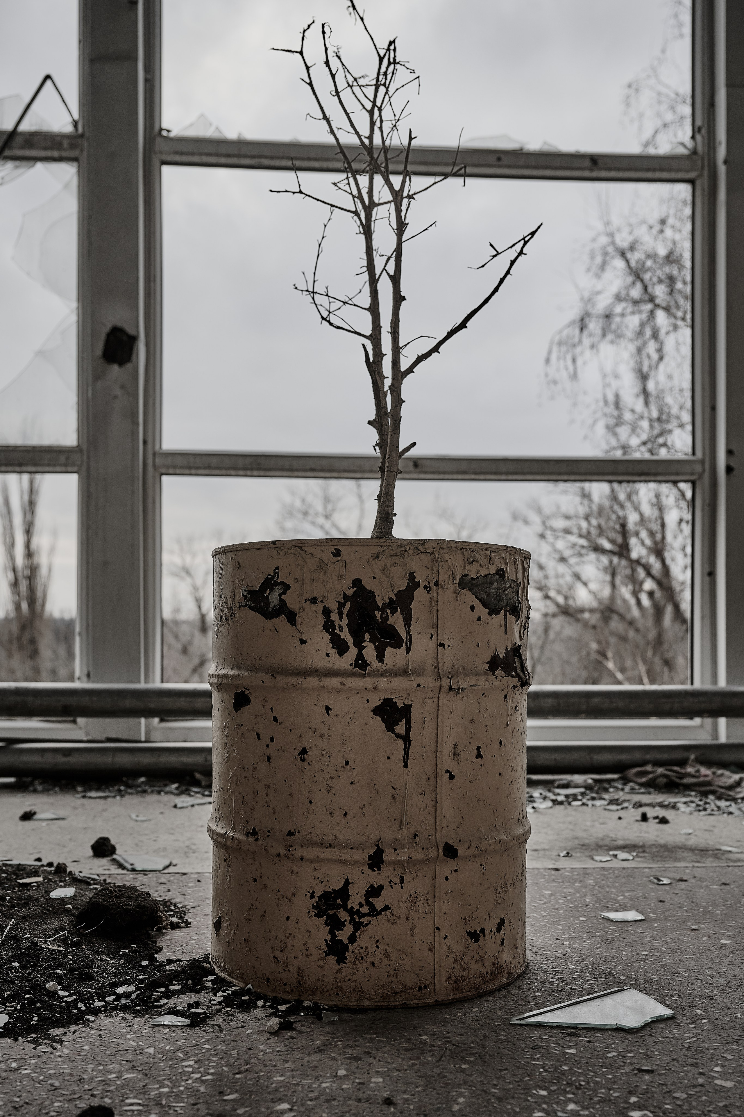 Северодонецк. Январь 2025. Фотограф Роман Адлер