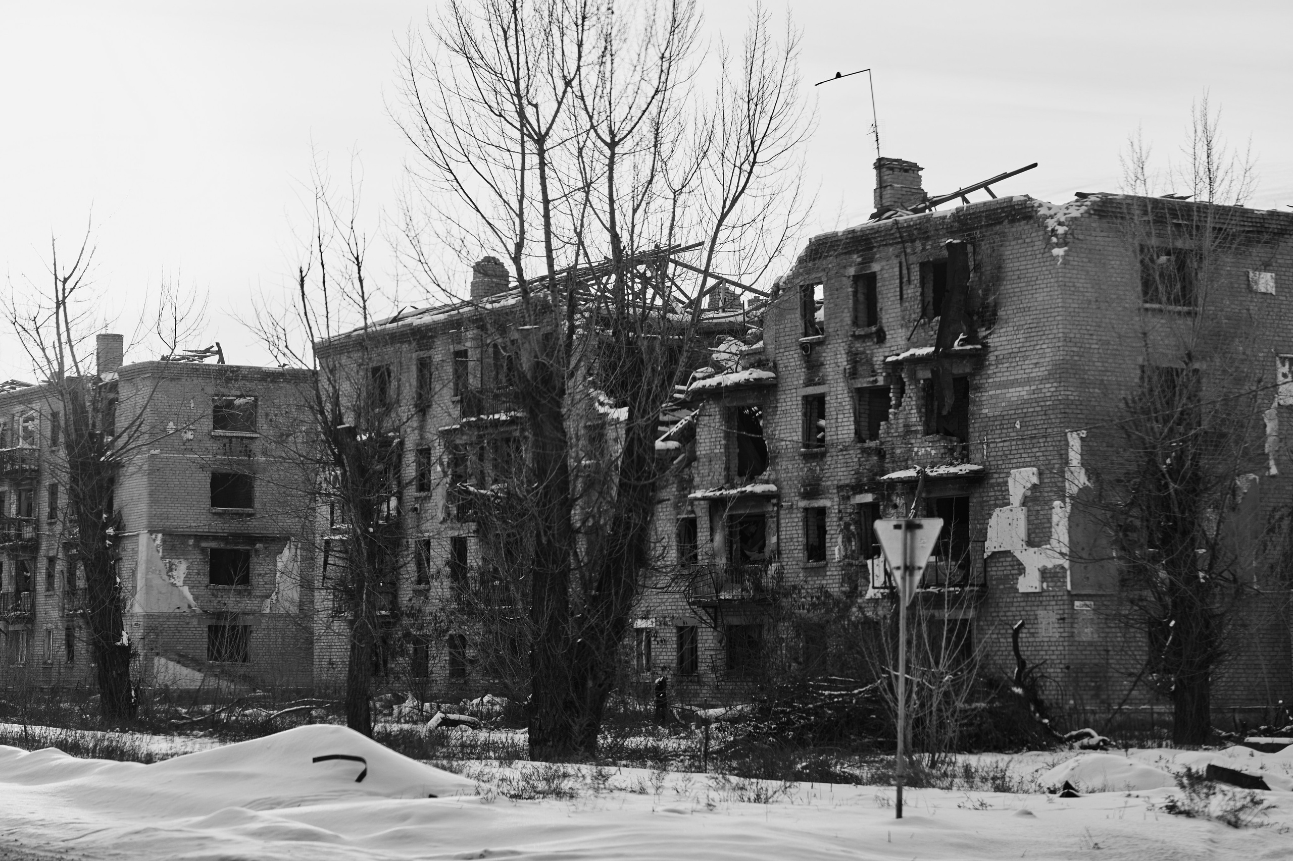 Рубежное. Январь 2026. Фотограф Роман Адлер