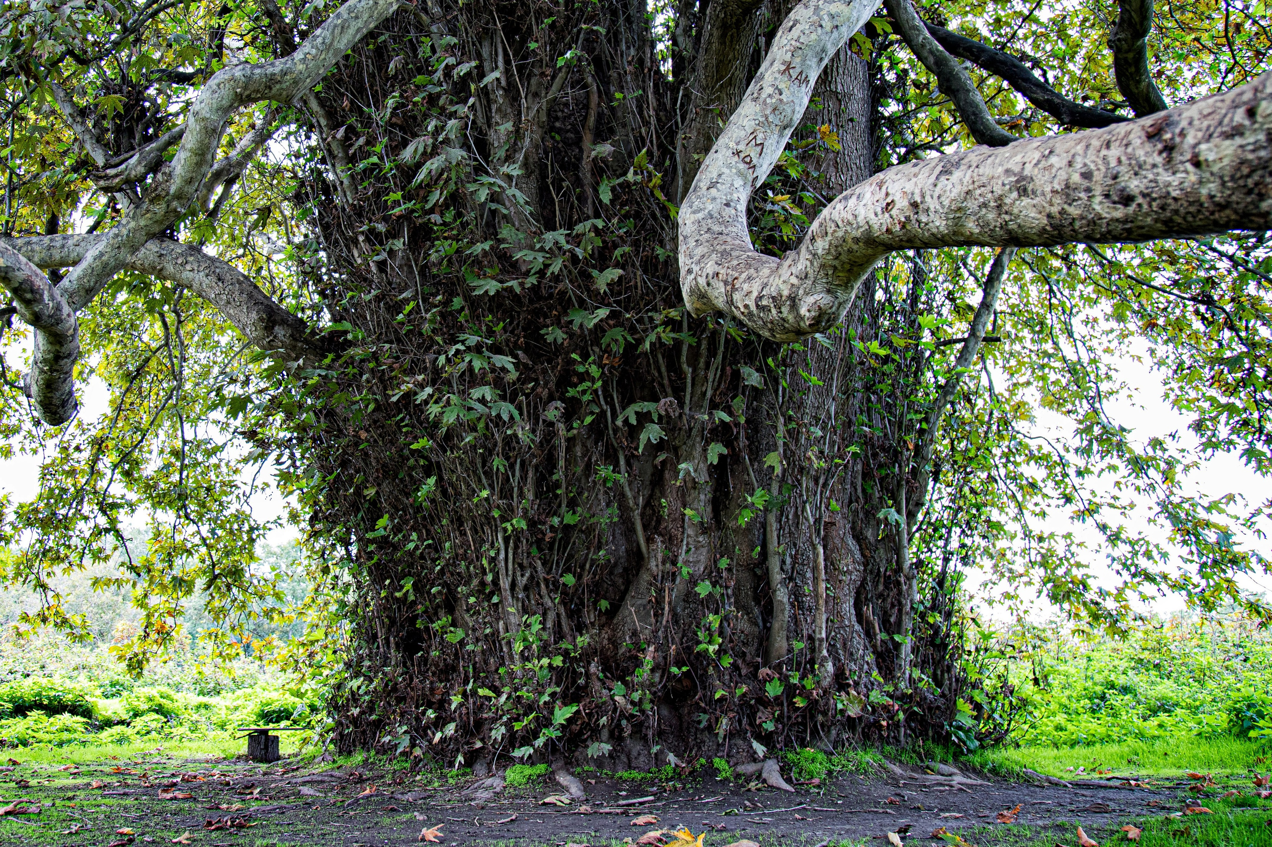 Report: Пейзажи Кавказа. Фотограф в Перми Любовь Огородова | Авторские туры
