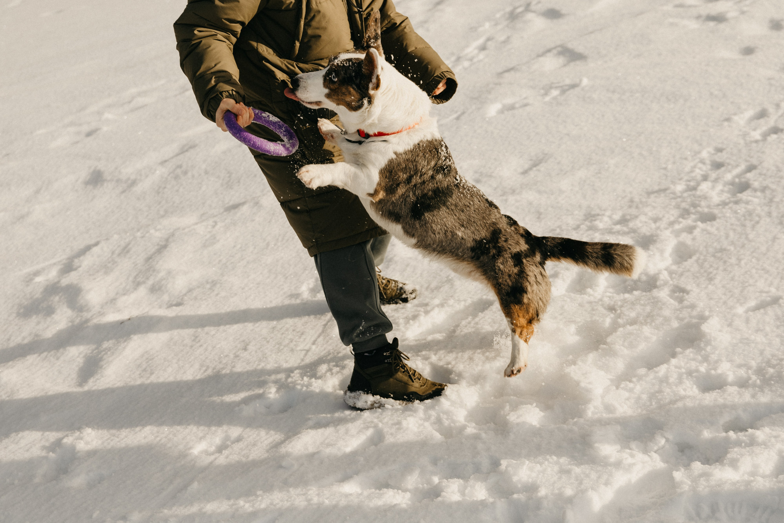 Аня, Виталик, Сэм. Главная