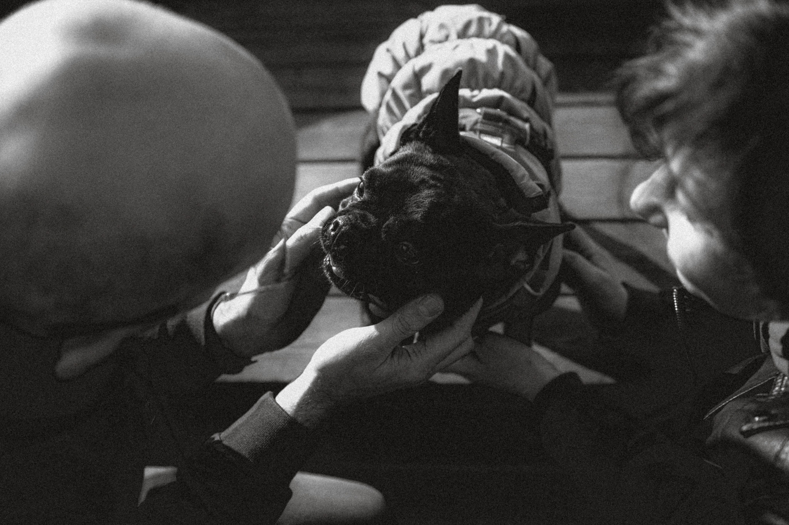 Саша, Дима и Шпуля