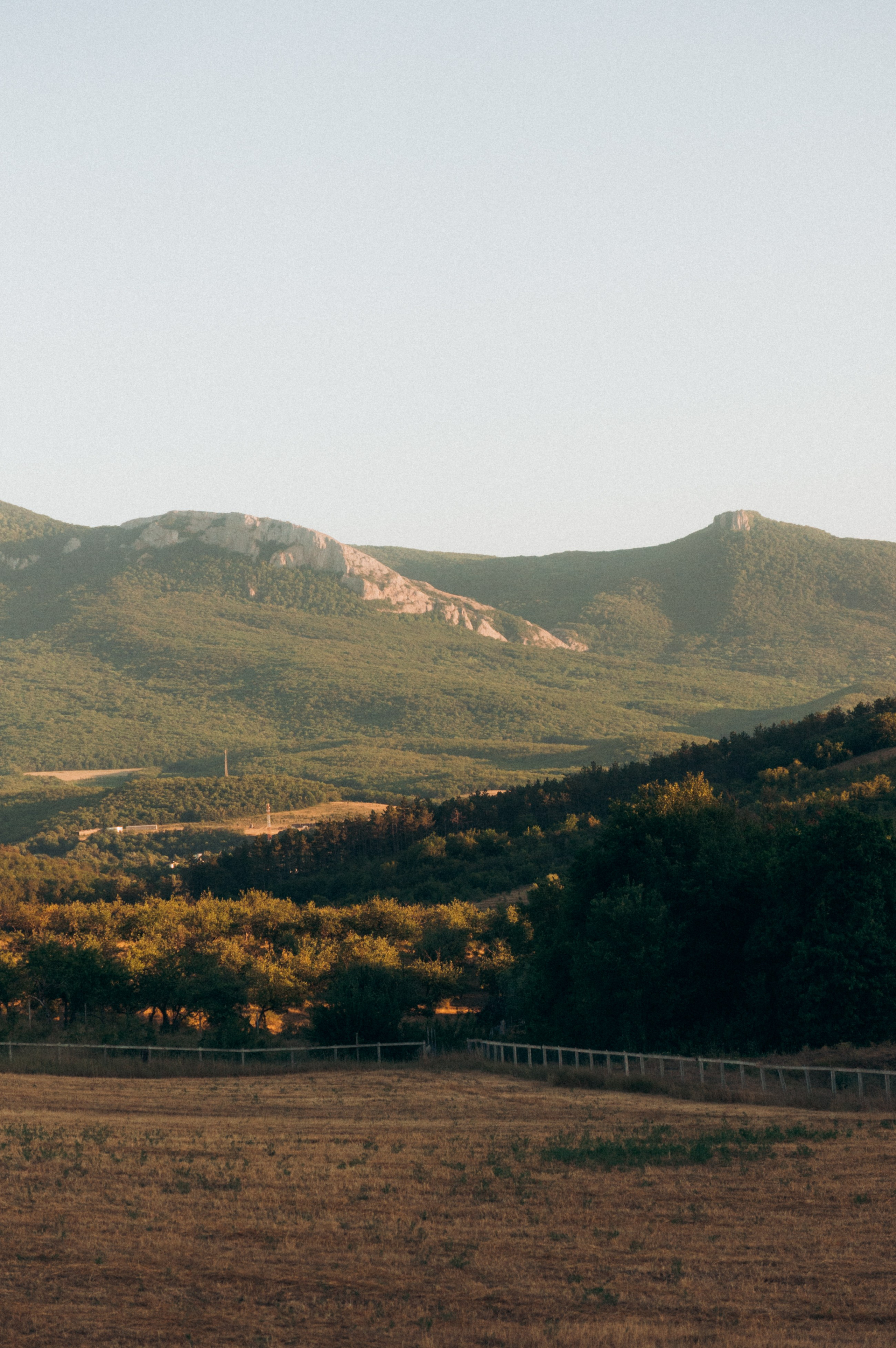 Мастер-класс по флористике. Обо мне