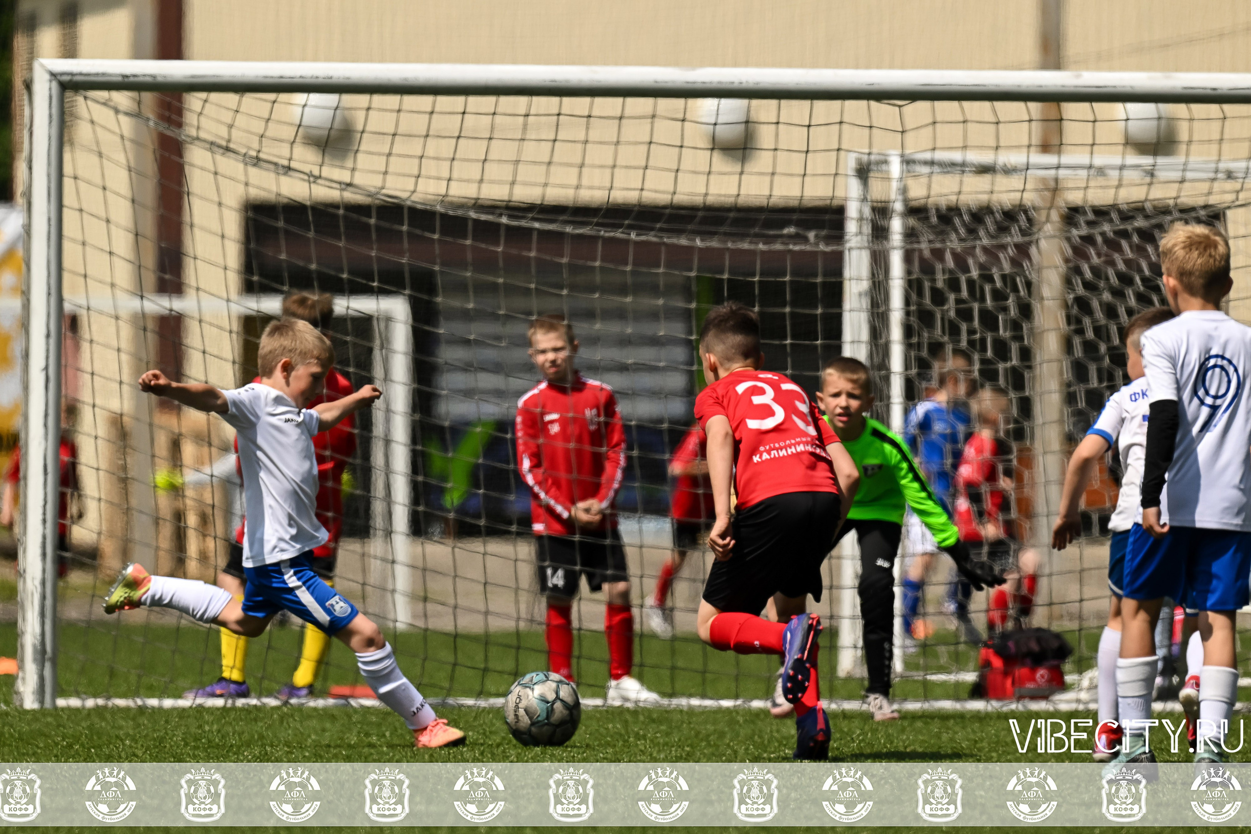 Большие Звезды светят Малым. VIBECITY.RU Вайб Сити Ру Фоторепортажи Фотоотчеты Калининград