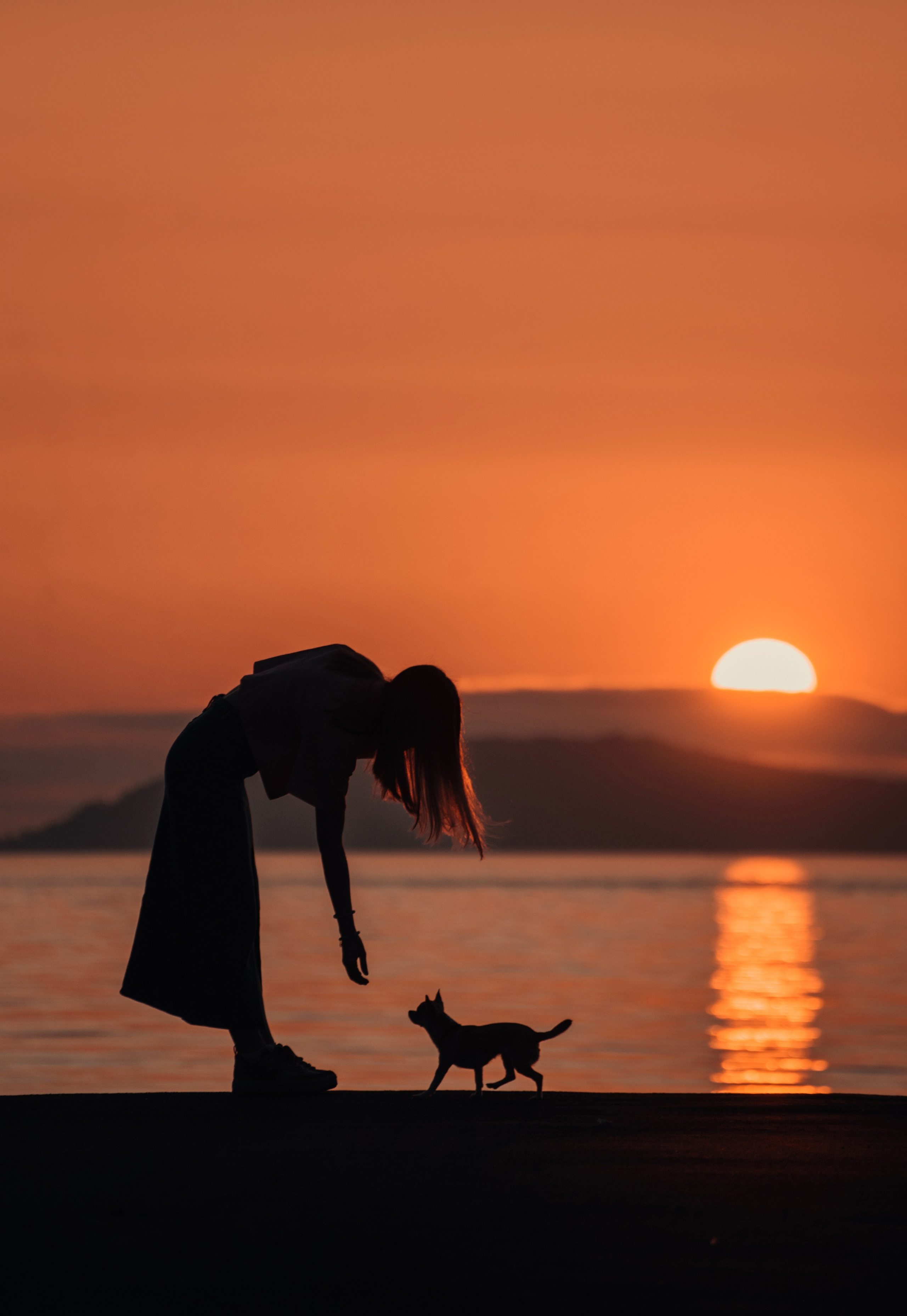 Прогулка: чихуахуа Хенни и Алина во Владивостоке. Портфолио