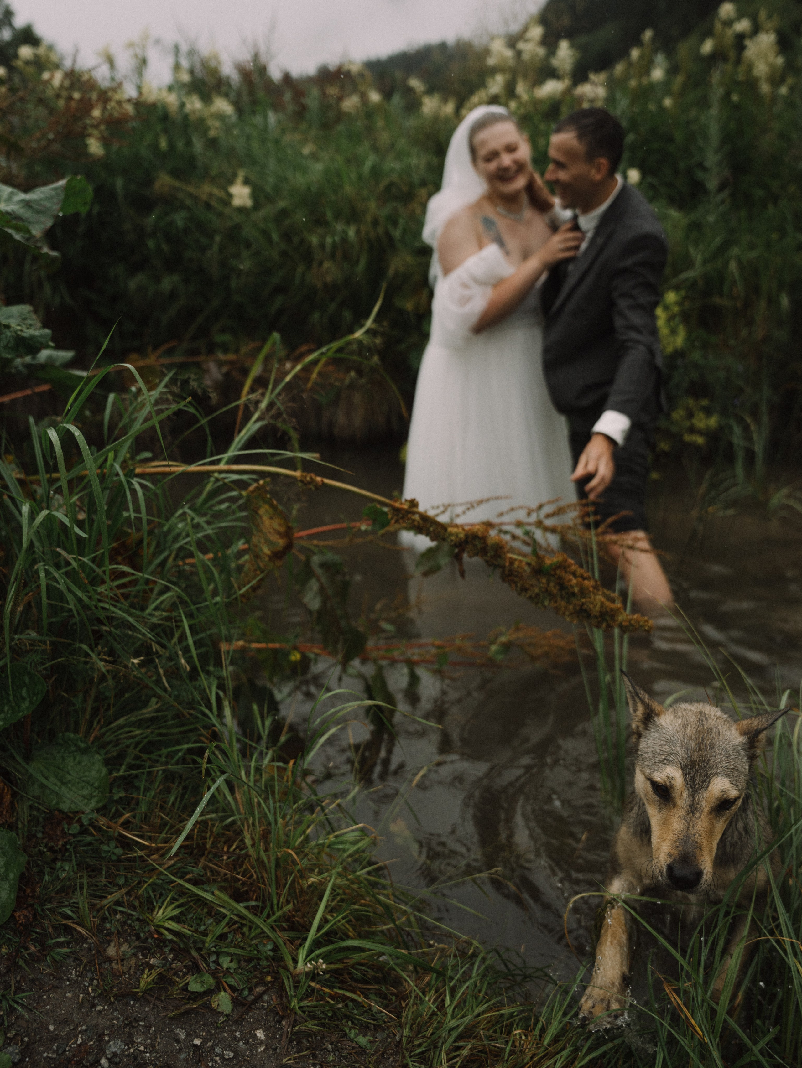 А&А. Свадебный фотограф Ирина Беляева Пятигорск|Кисловодск|Эльбрус|Домбай